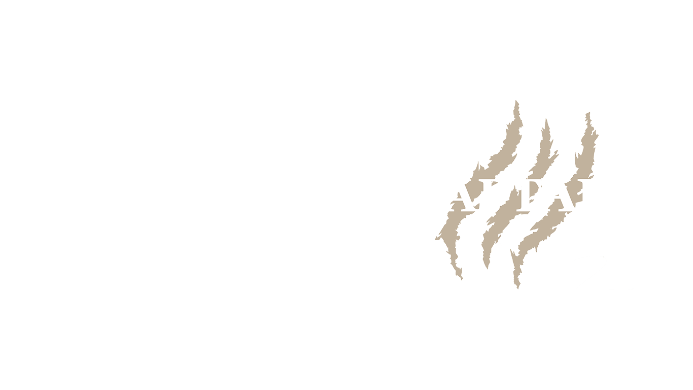A design featuring two signatures separated by a vertical line with the text 'Raptair' next to claw marks.