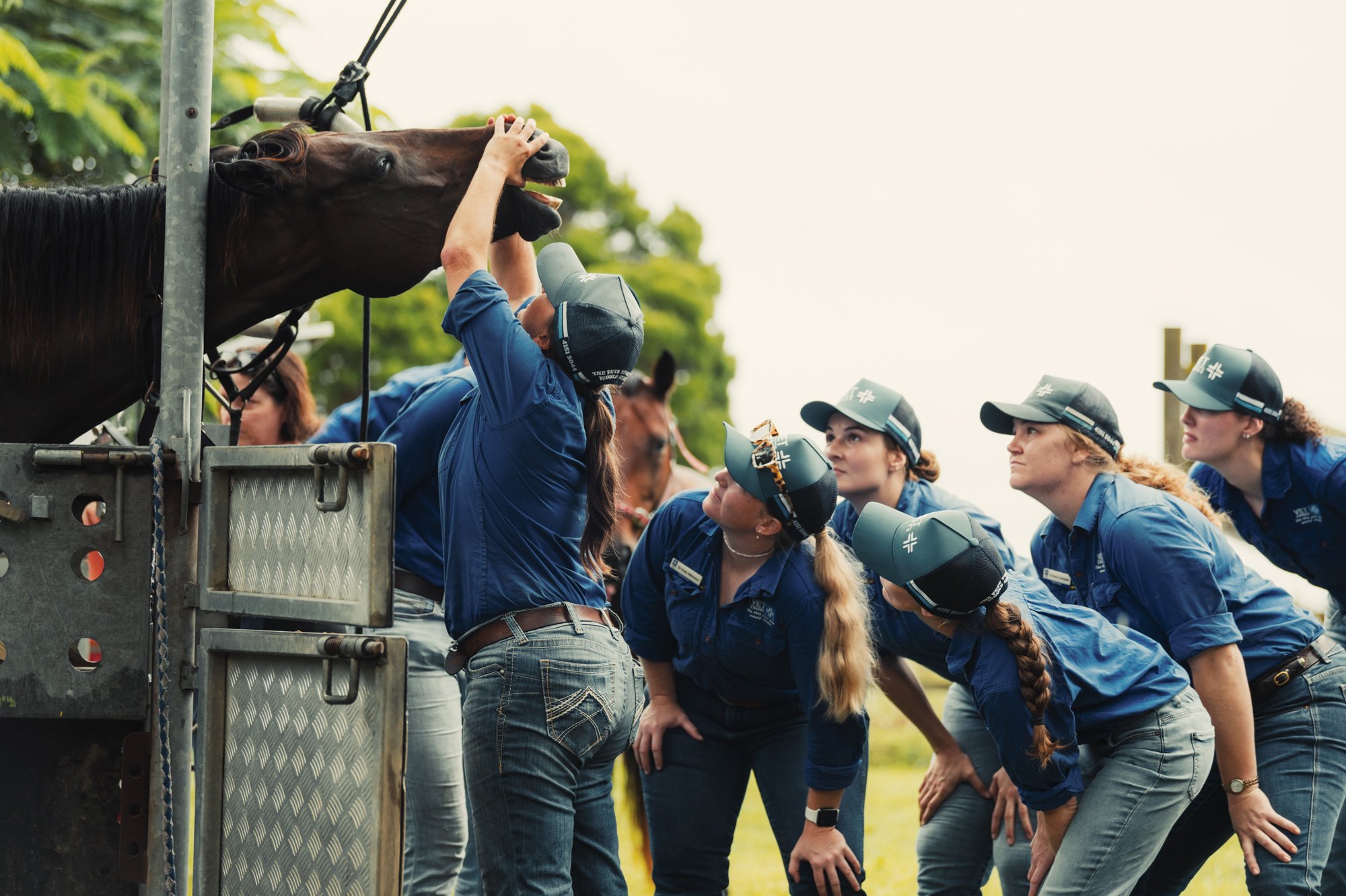 Vet Cross: The Heart of the Practice