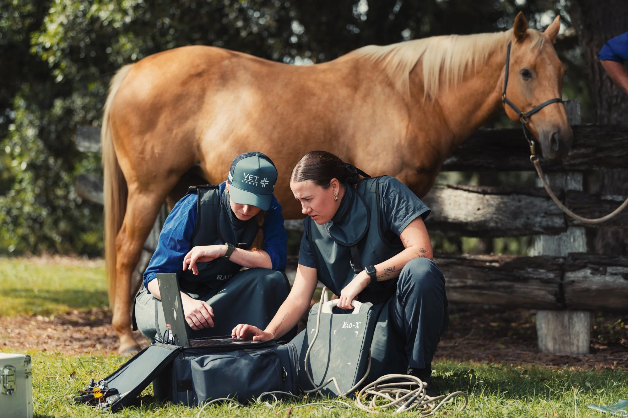 Vet Cross - Gin Gin - Web - 85.jpg