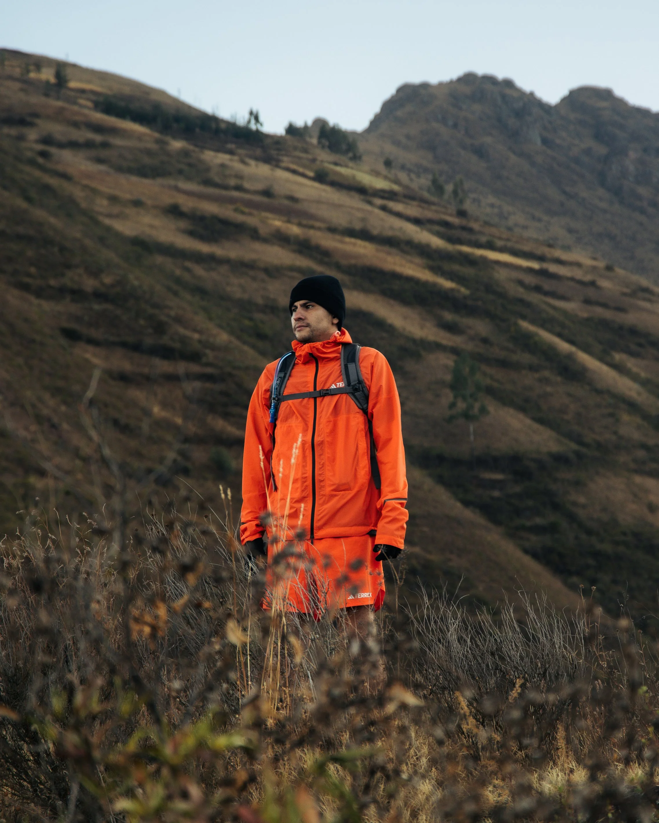 OZ Project consultation