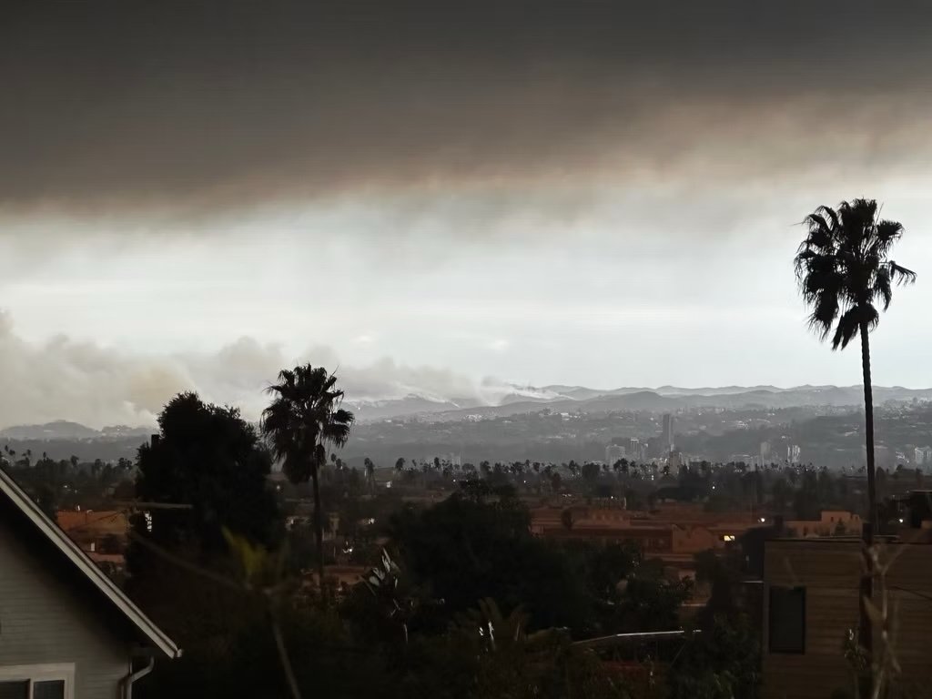 January 2025 - the fires