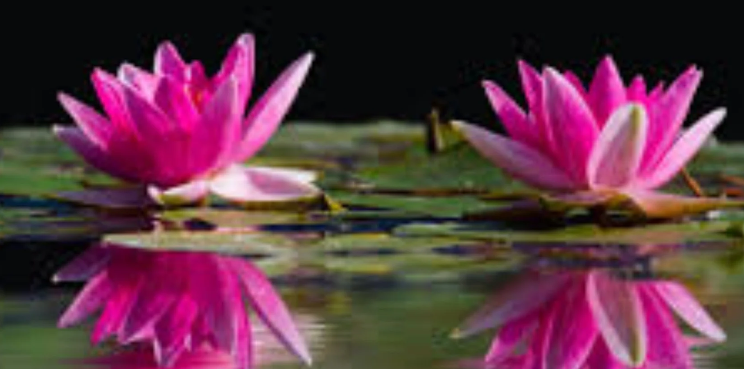 CINDY  SPIRITUAL CONSULTANCY