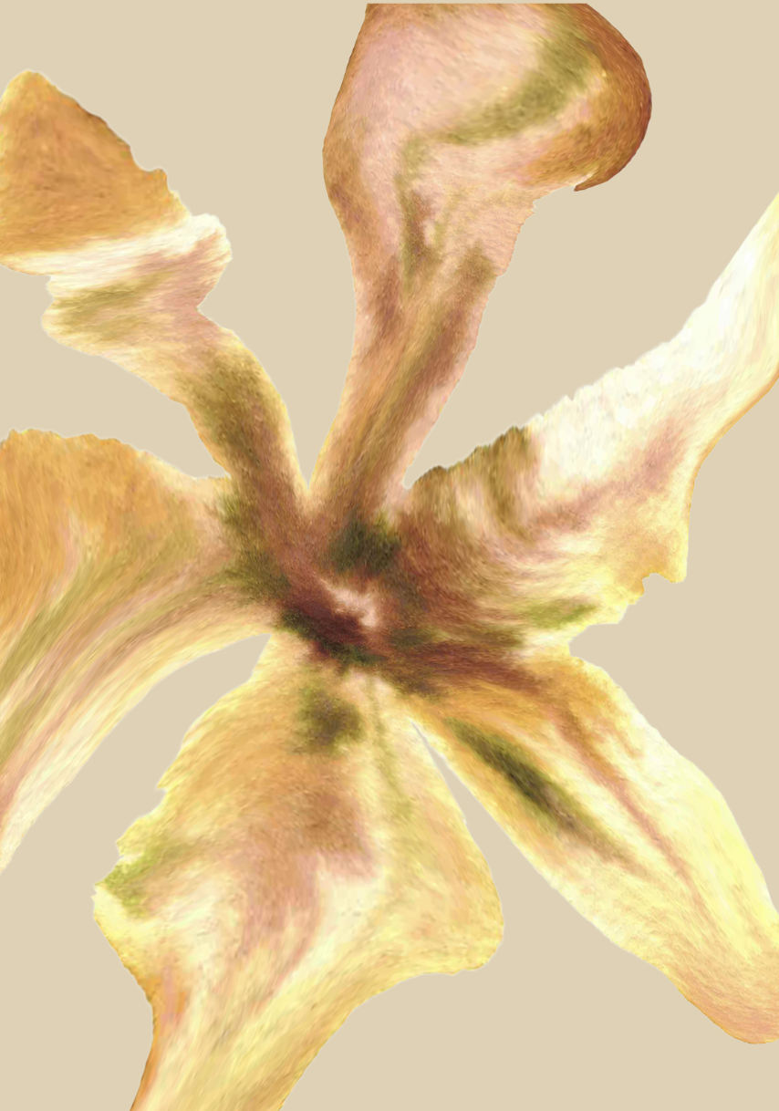 Screenshot 2025-09-21 at 6.45.42 pm.png