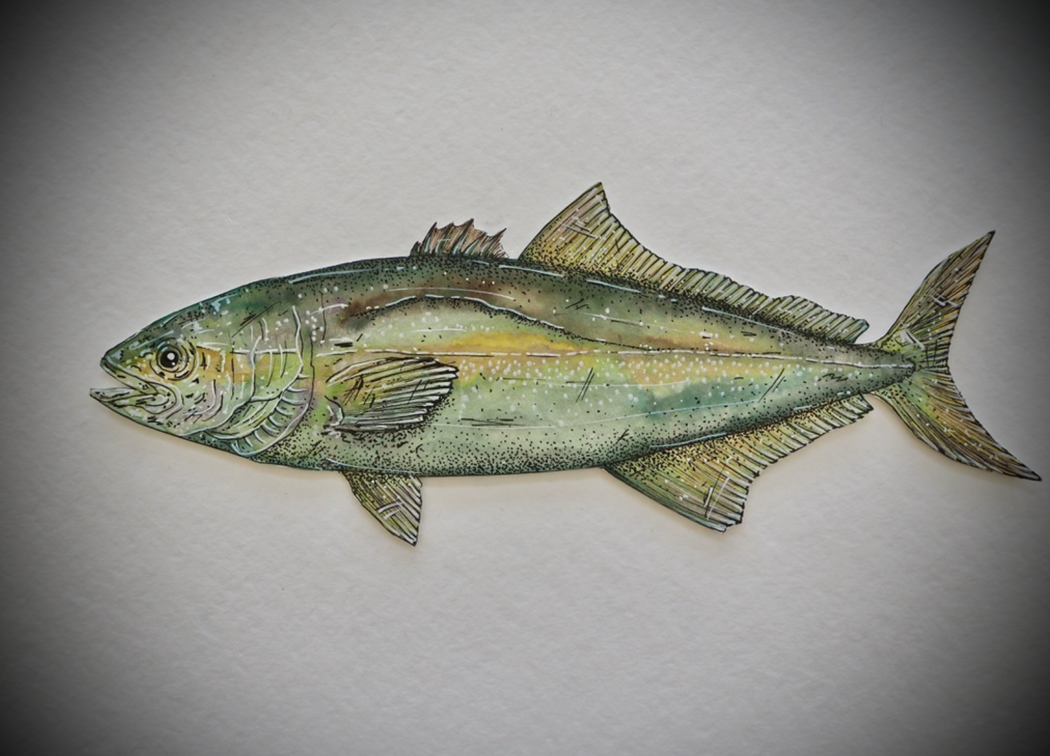 Screenshot 2026-03-21 at 1.50.47 pm.png