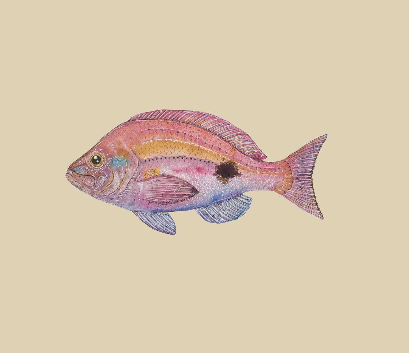 Screenshot 2025-09-21 at 6.16.36 pm.png