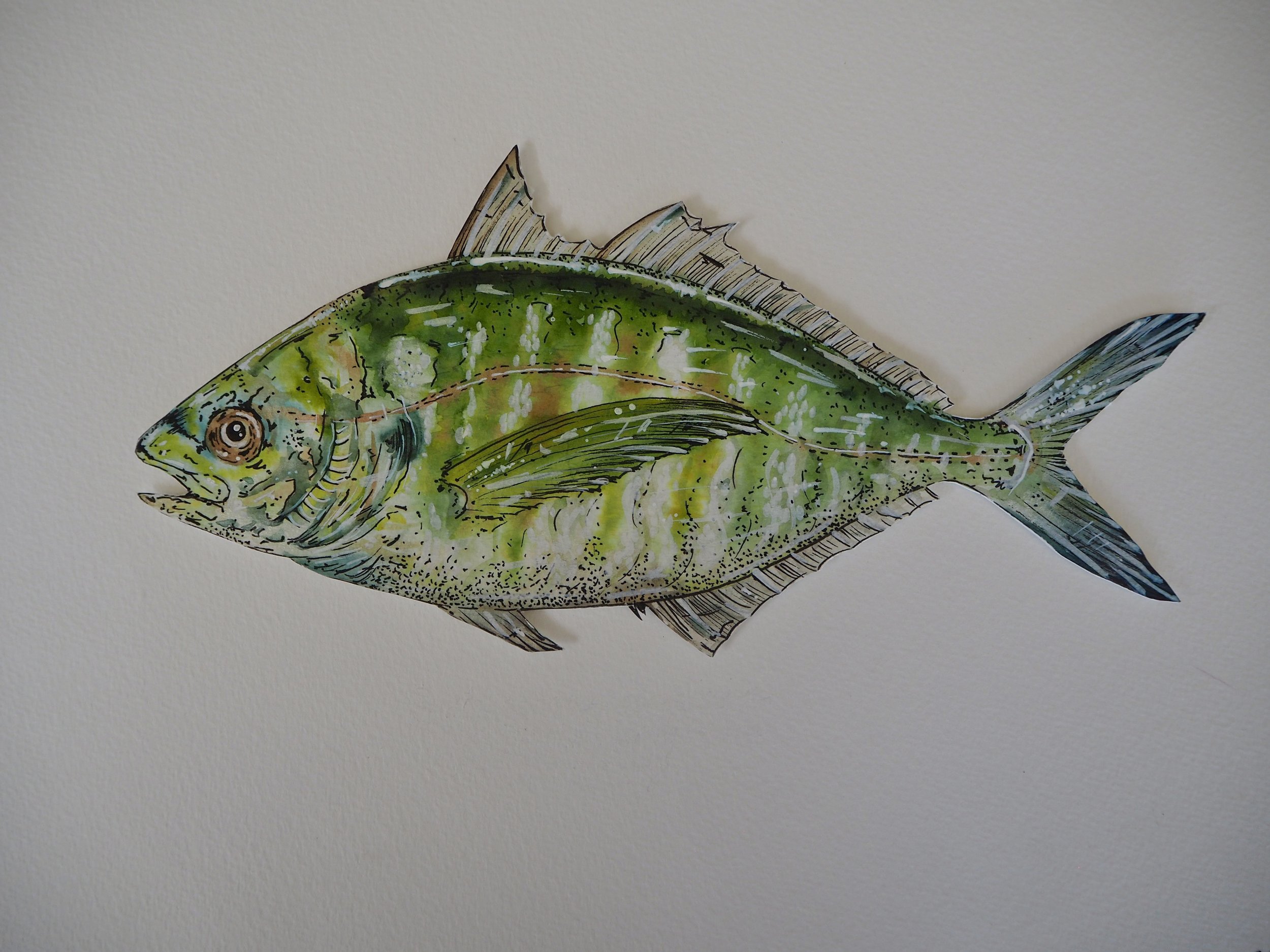 Silver Trevally