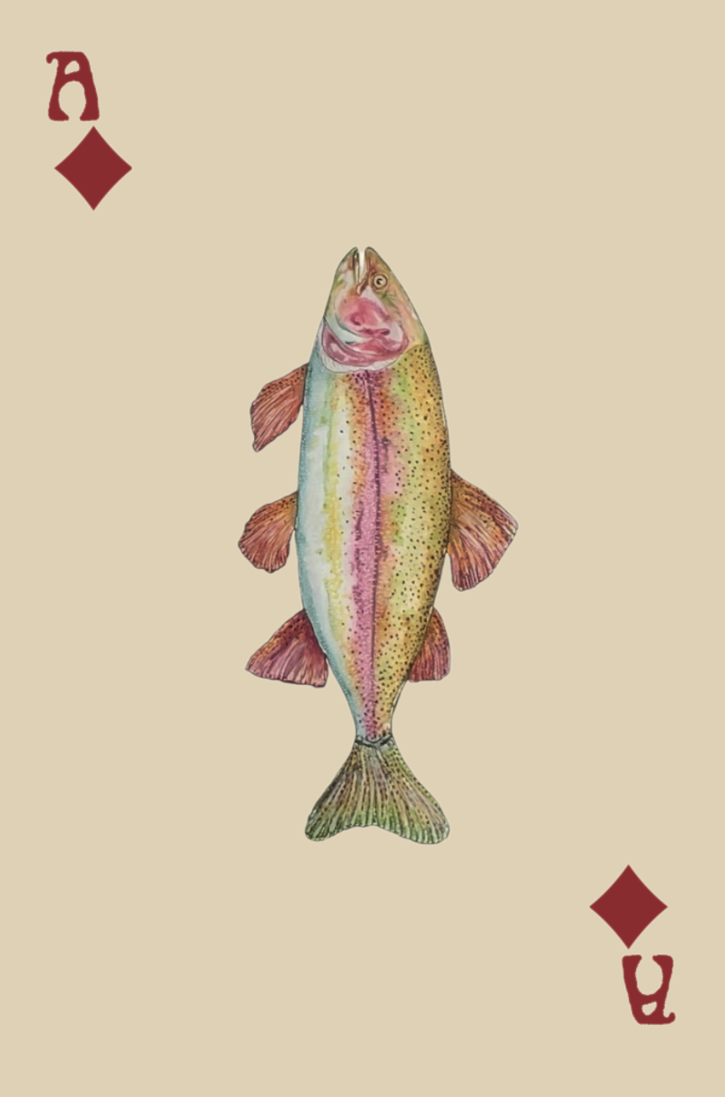 Screenshot 2025-09-21 at 6.48.46 pm.png