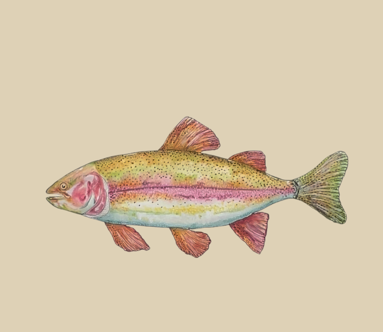 Screenshot 2025-09-21 at 6.16.50 pm.png