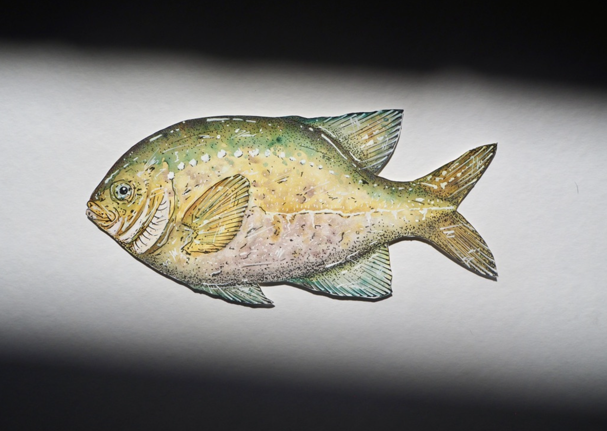 Screenshot 2026-03-21 at 12.48.54 pm.png