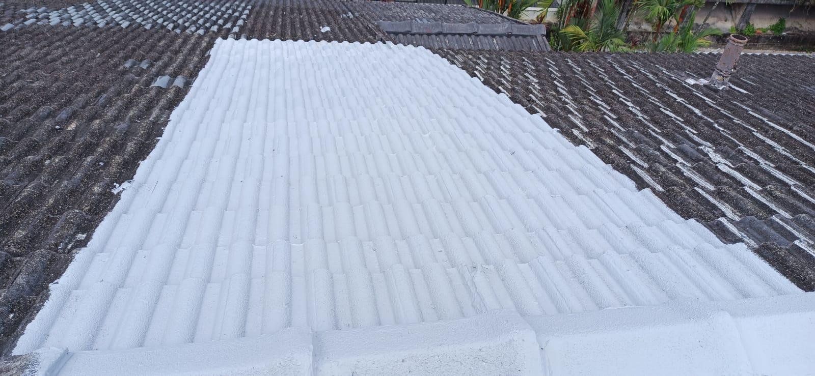 Roof with a recent white paint job on one section of the roof, and an unpainted section on the other side.