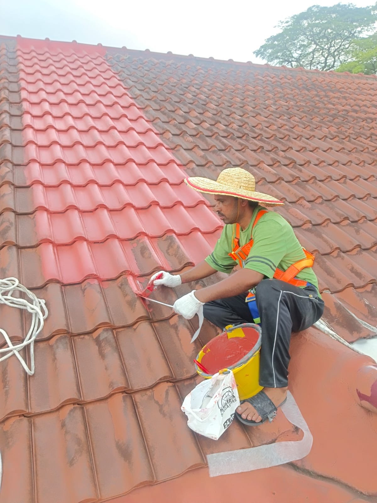 A man wearing a large straw hat, green shirt, and safety harness is painting a tiled roof red with a brush. He is sitting on the roof with a yellow bucket and a white bag nearby.
