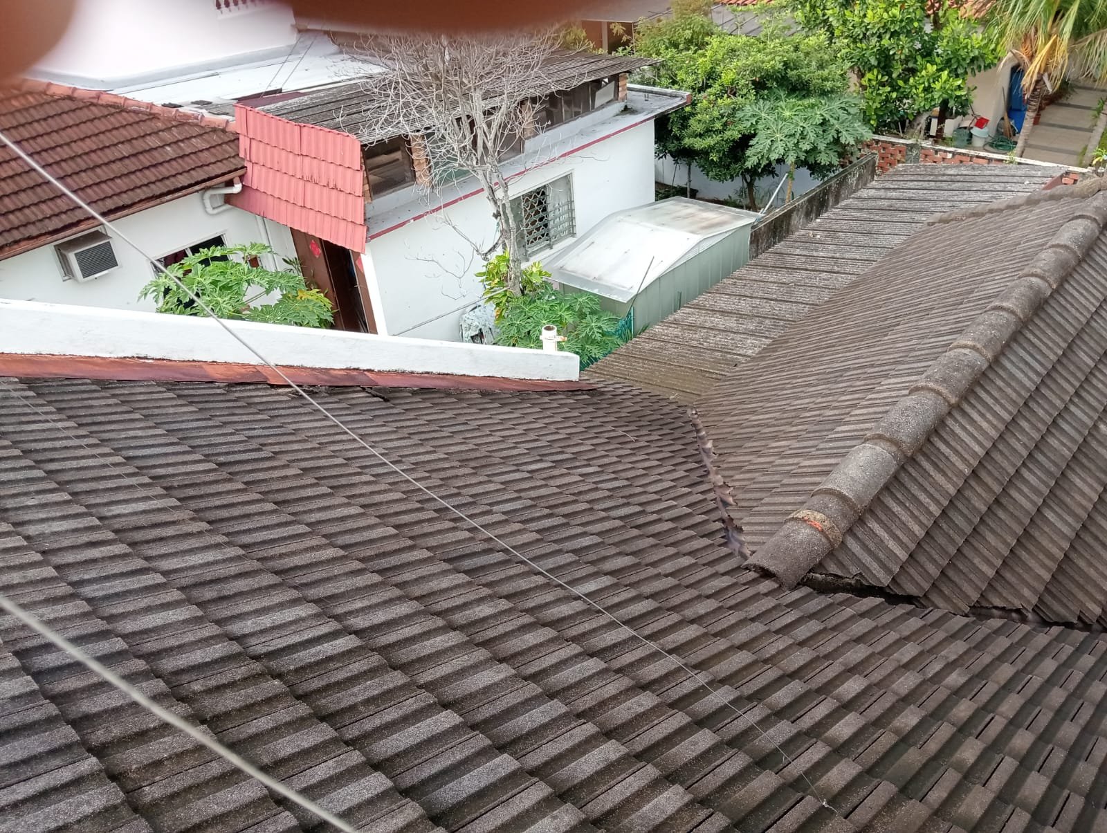 A view from above showing rooftops of neighboring houses with tiled roofs, some plants and trees, and a narrow pathway in the backyard.