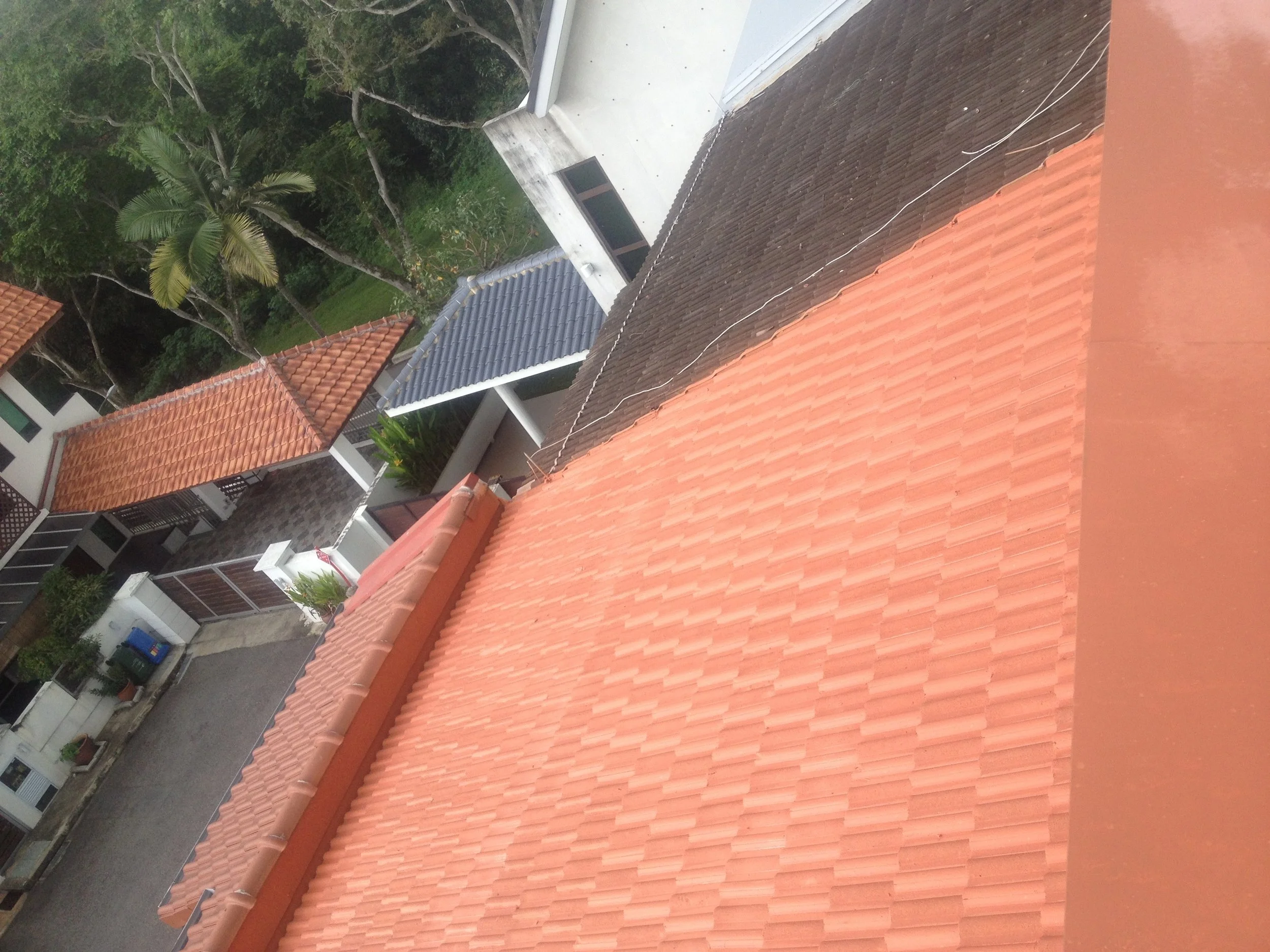 A view of rooftops with different colored tiles, surrounded by trees and greenery.