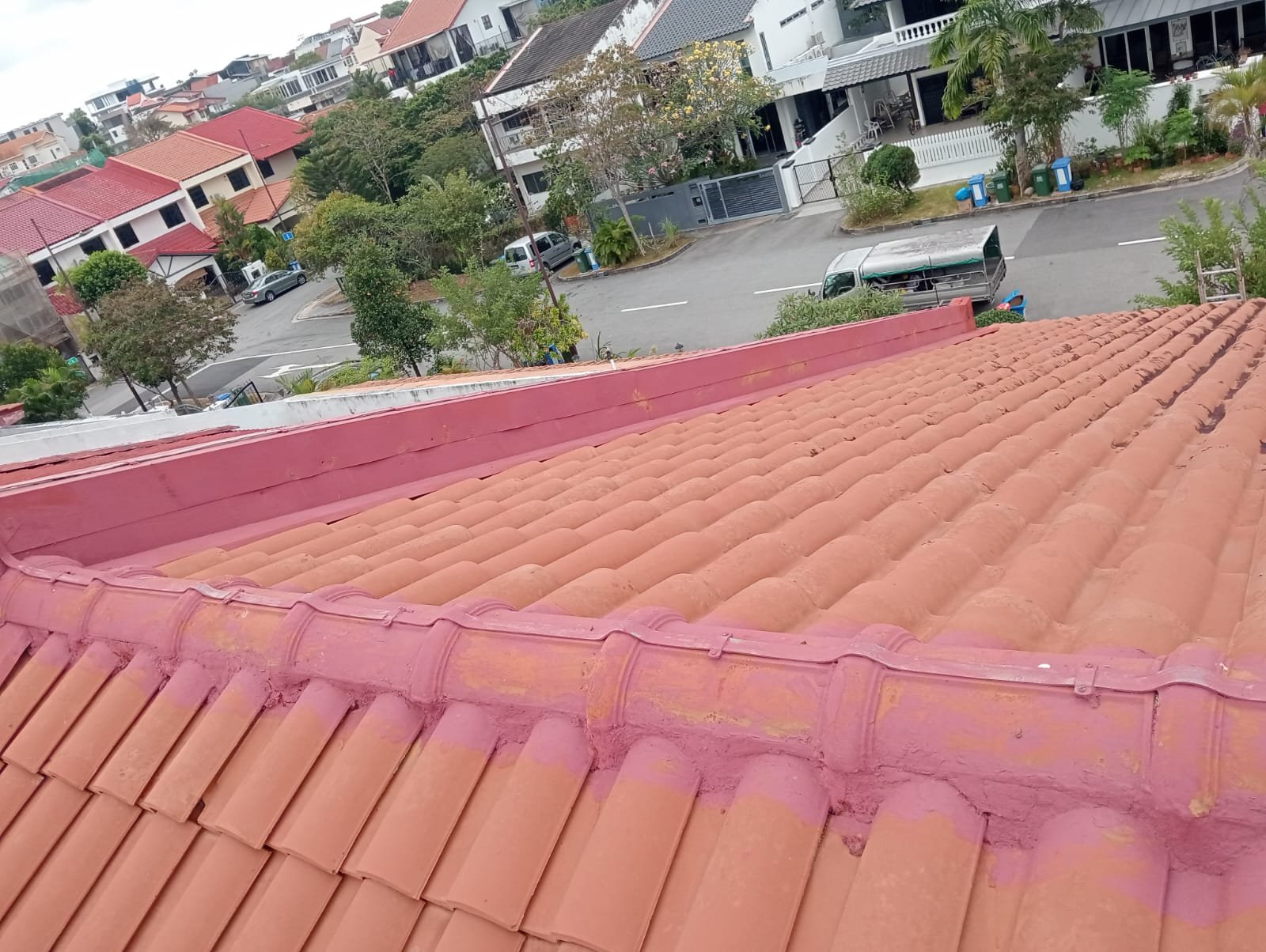 View from a rooftop showing terracotta tiles, a street with trees and residential buildings in the background, and parked vehicles.
