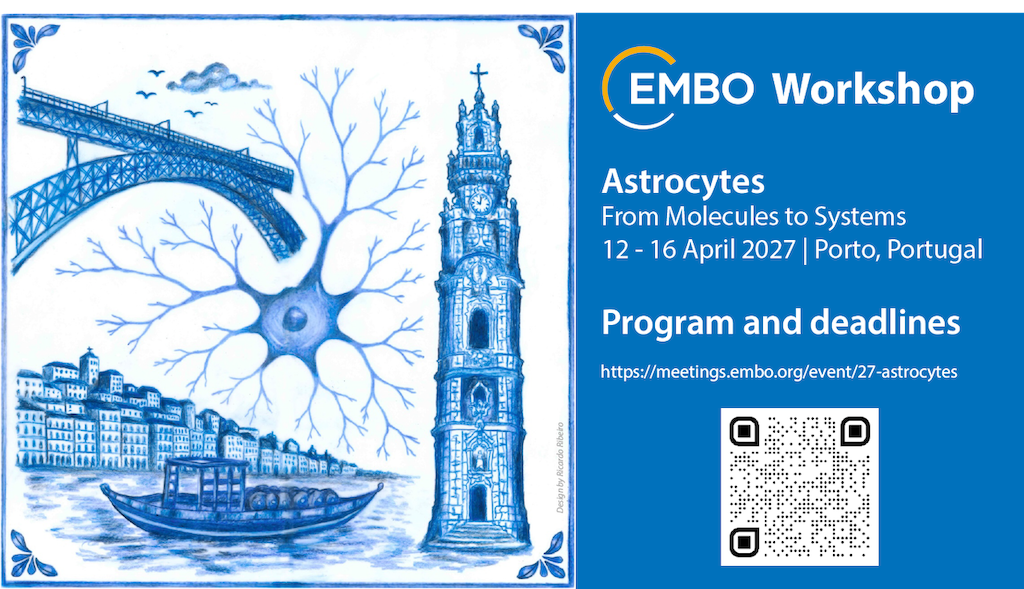 EMBO Workshop: Astrocytes