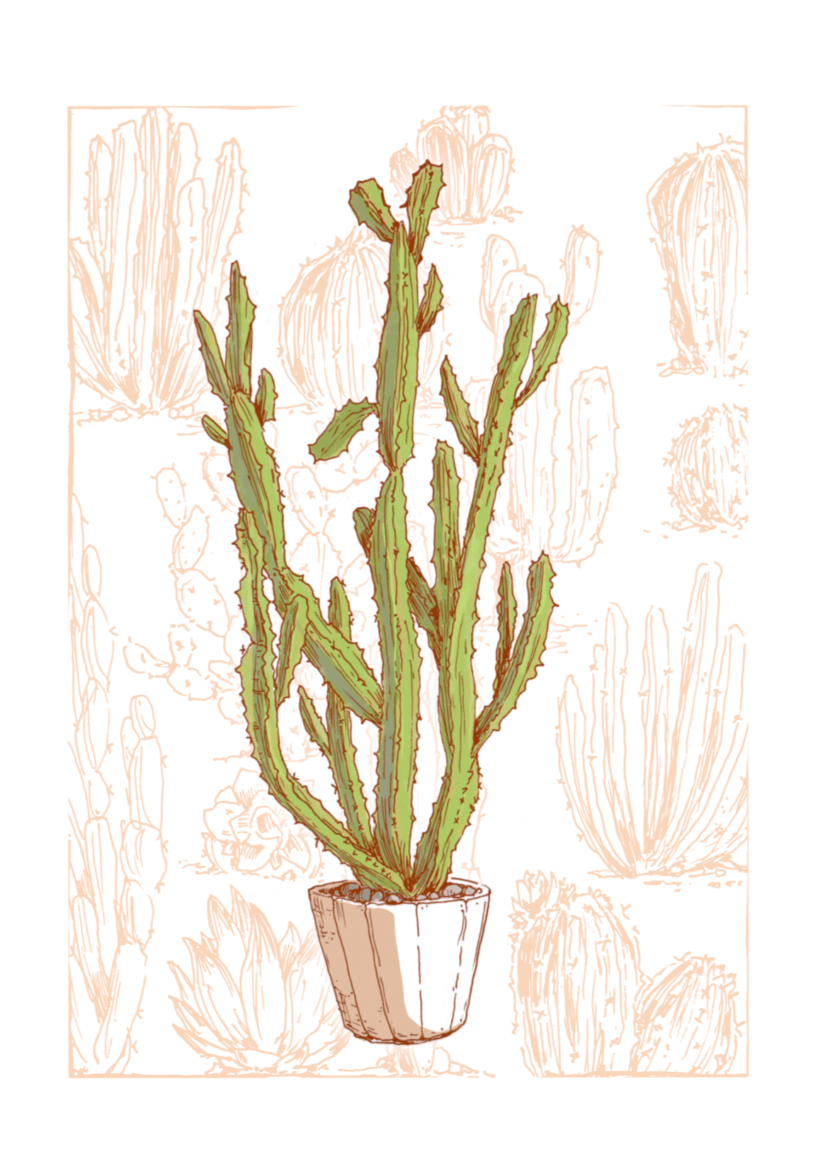 Cactus
