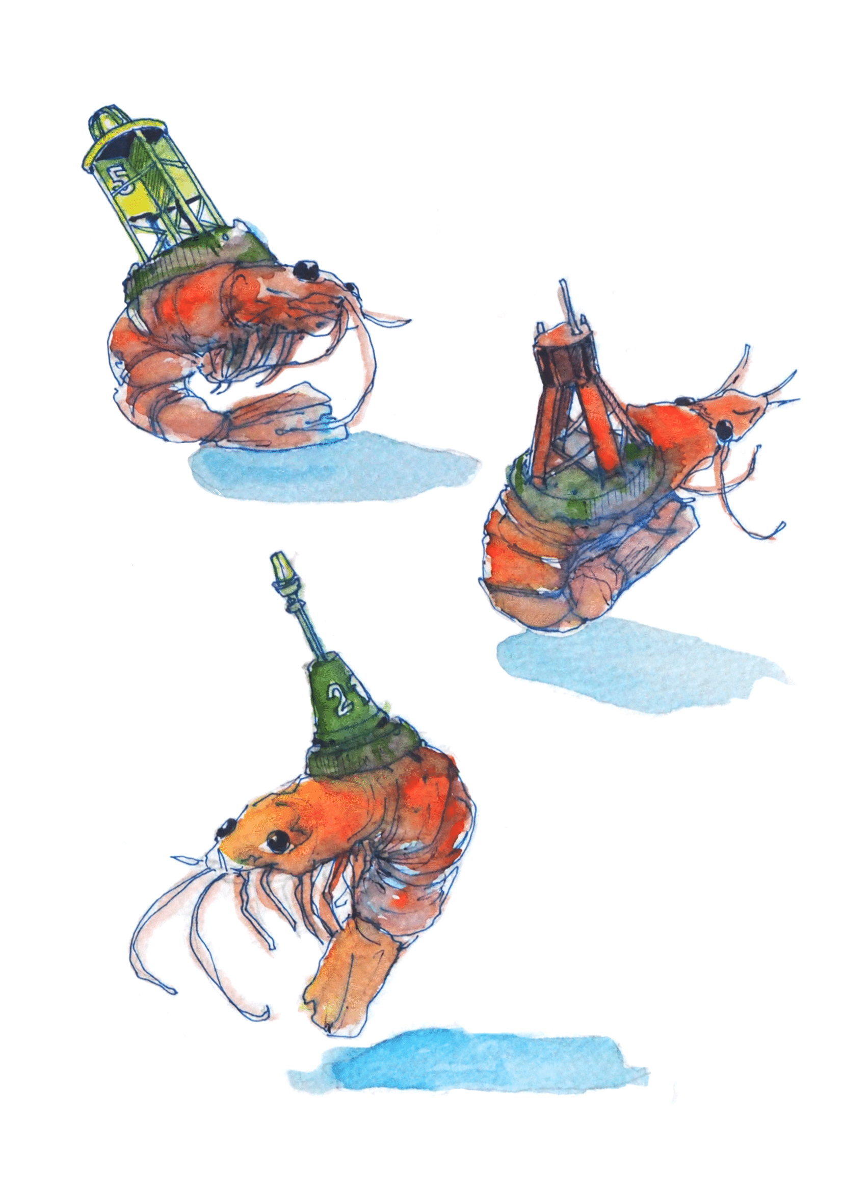 Buoy Prawns