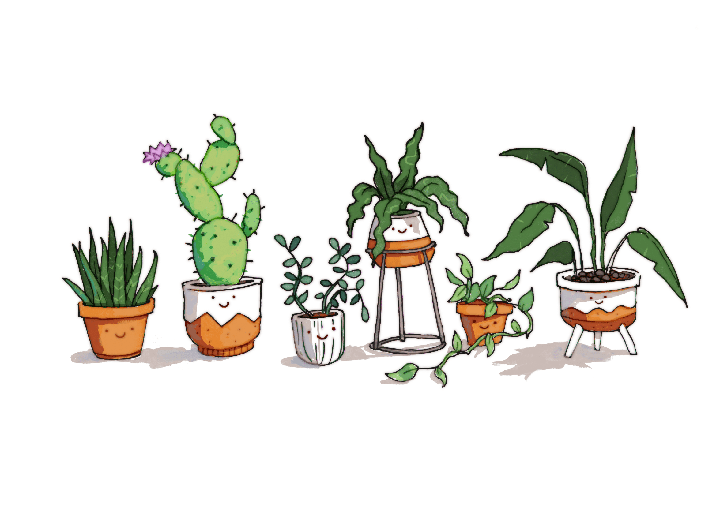 Little Plants