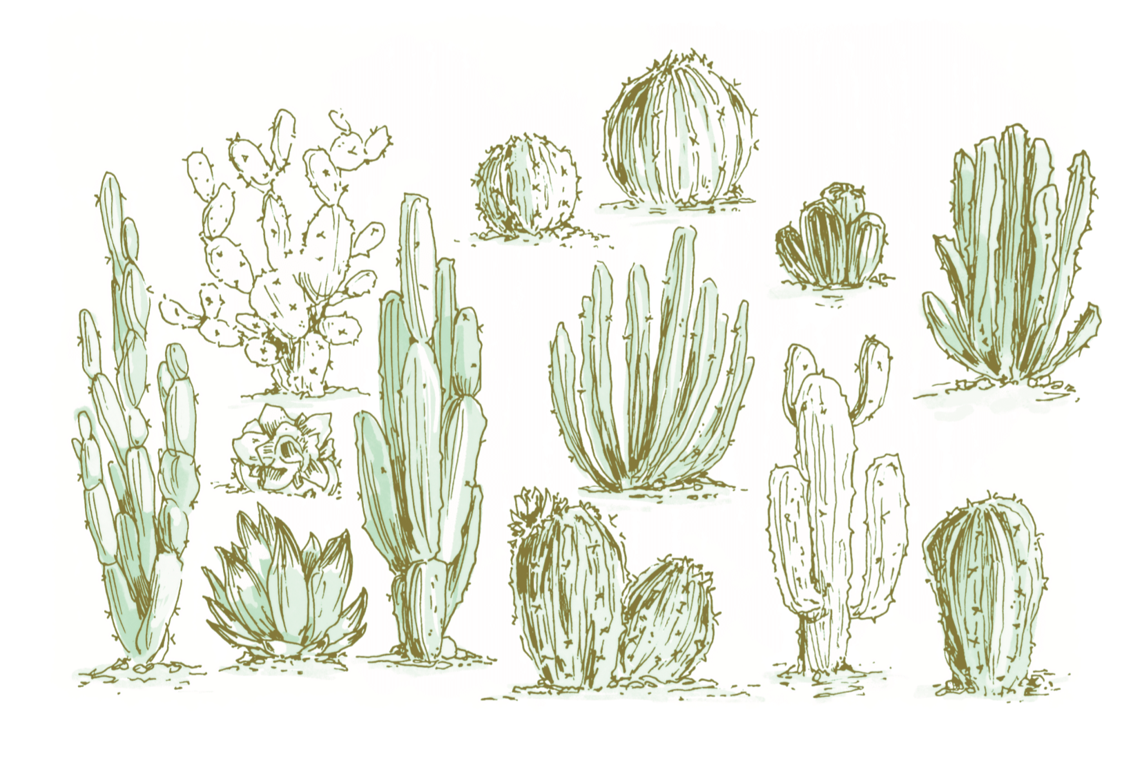 cactus_card_mono-1.png