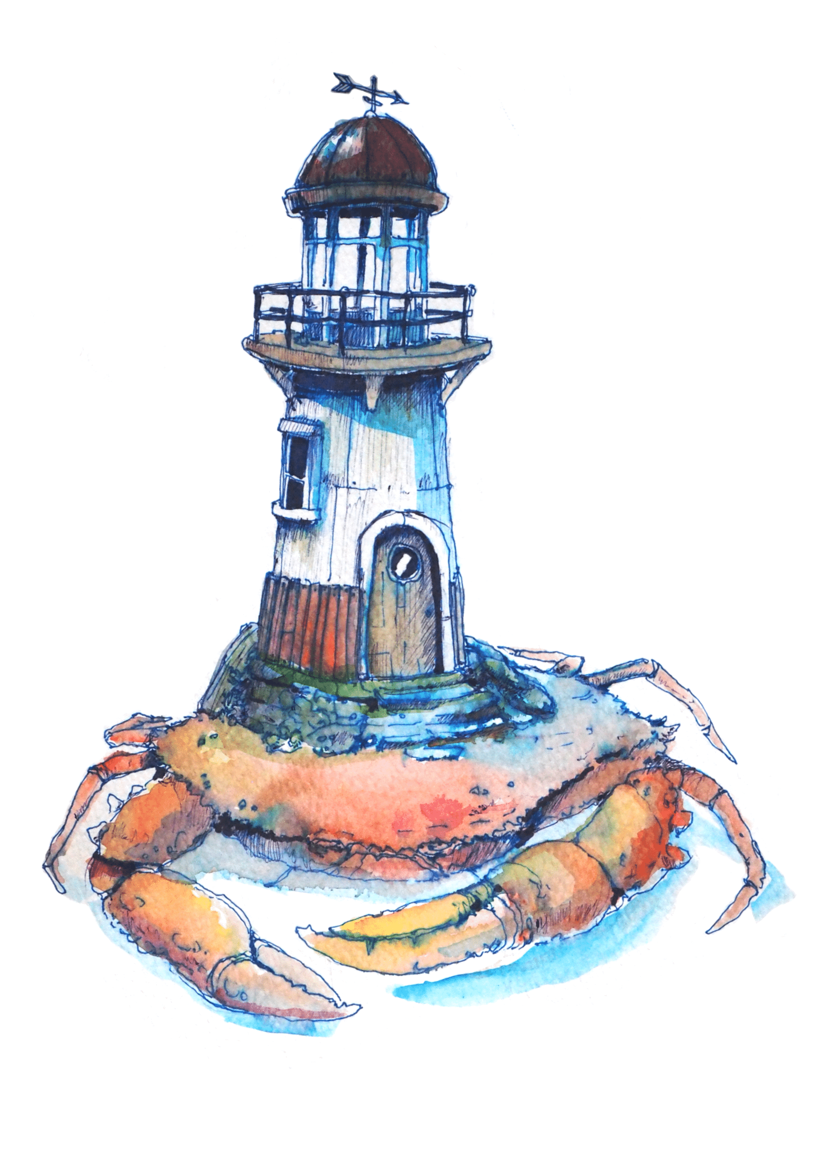 Tropical Lighthouse-Backed Crab