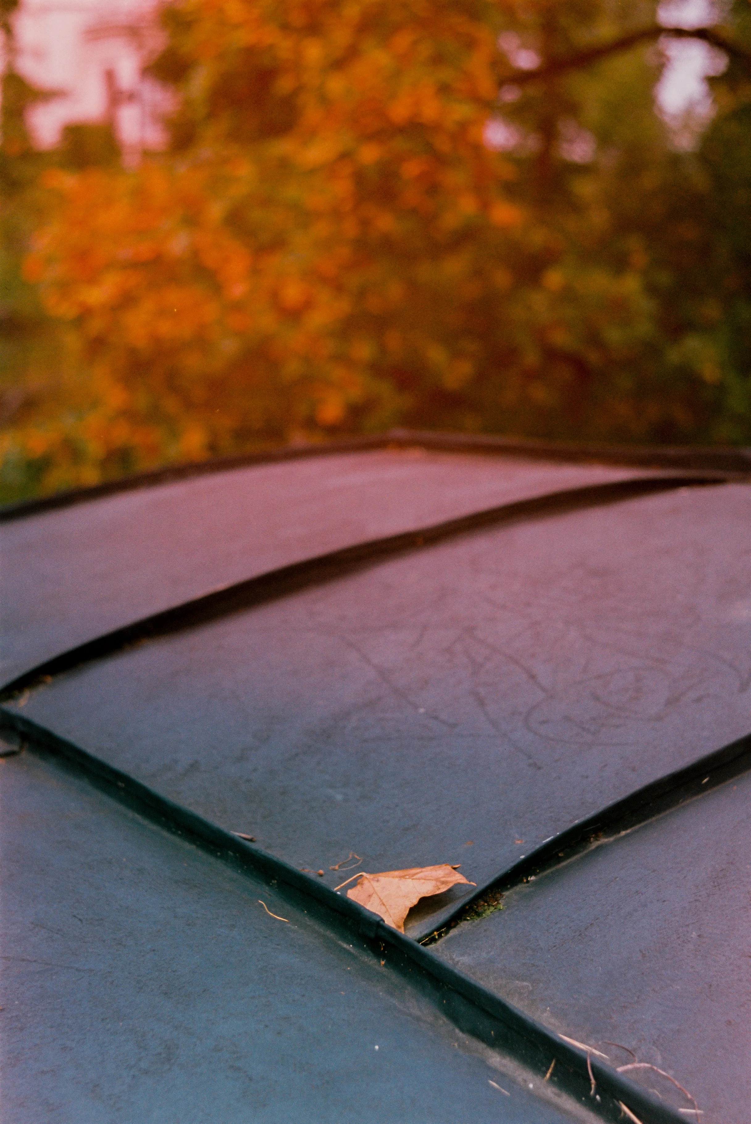 2026-09-0034-L1F.jpg
