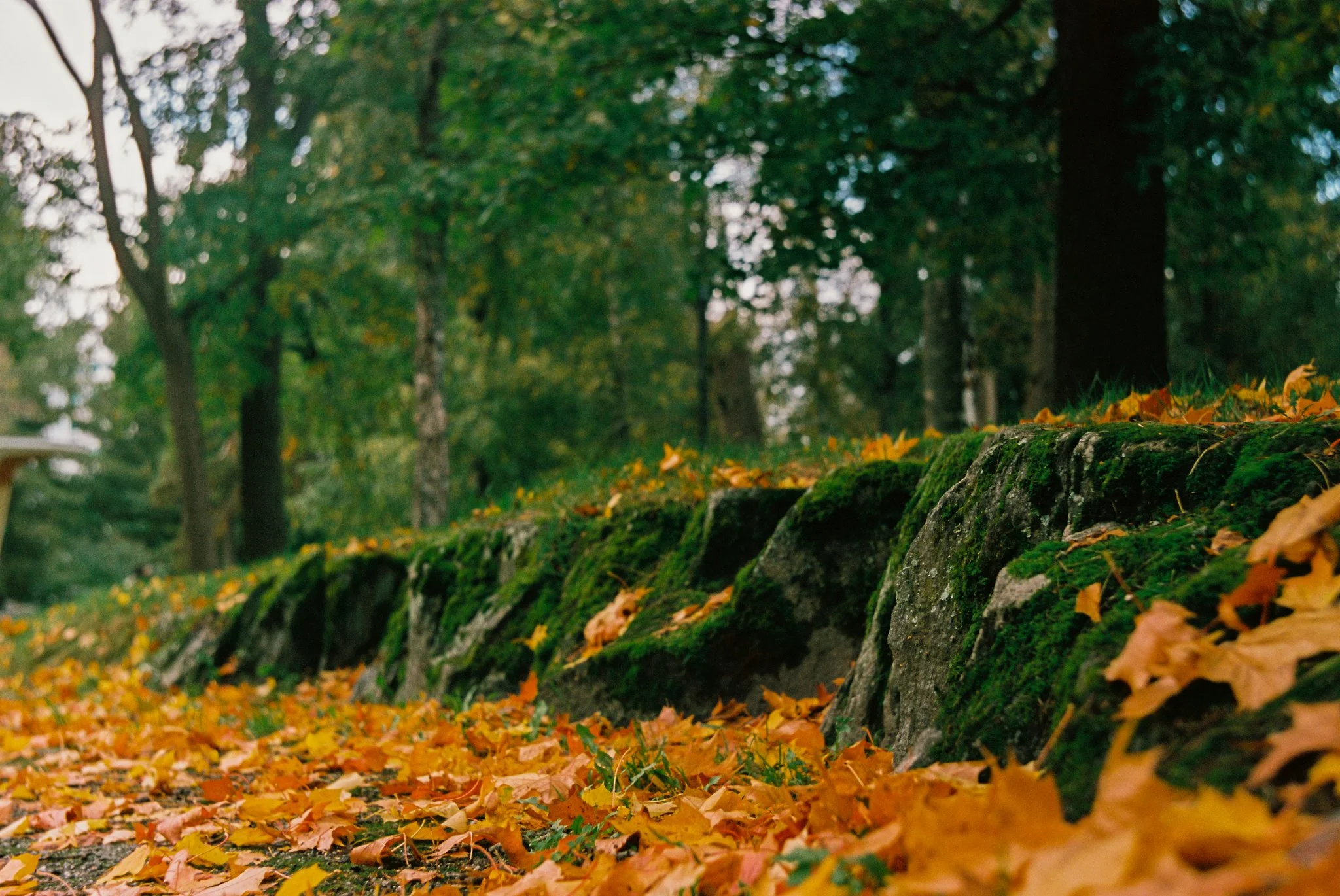 2026-09-0012-L1F.jpg