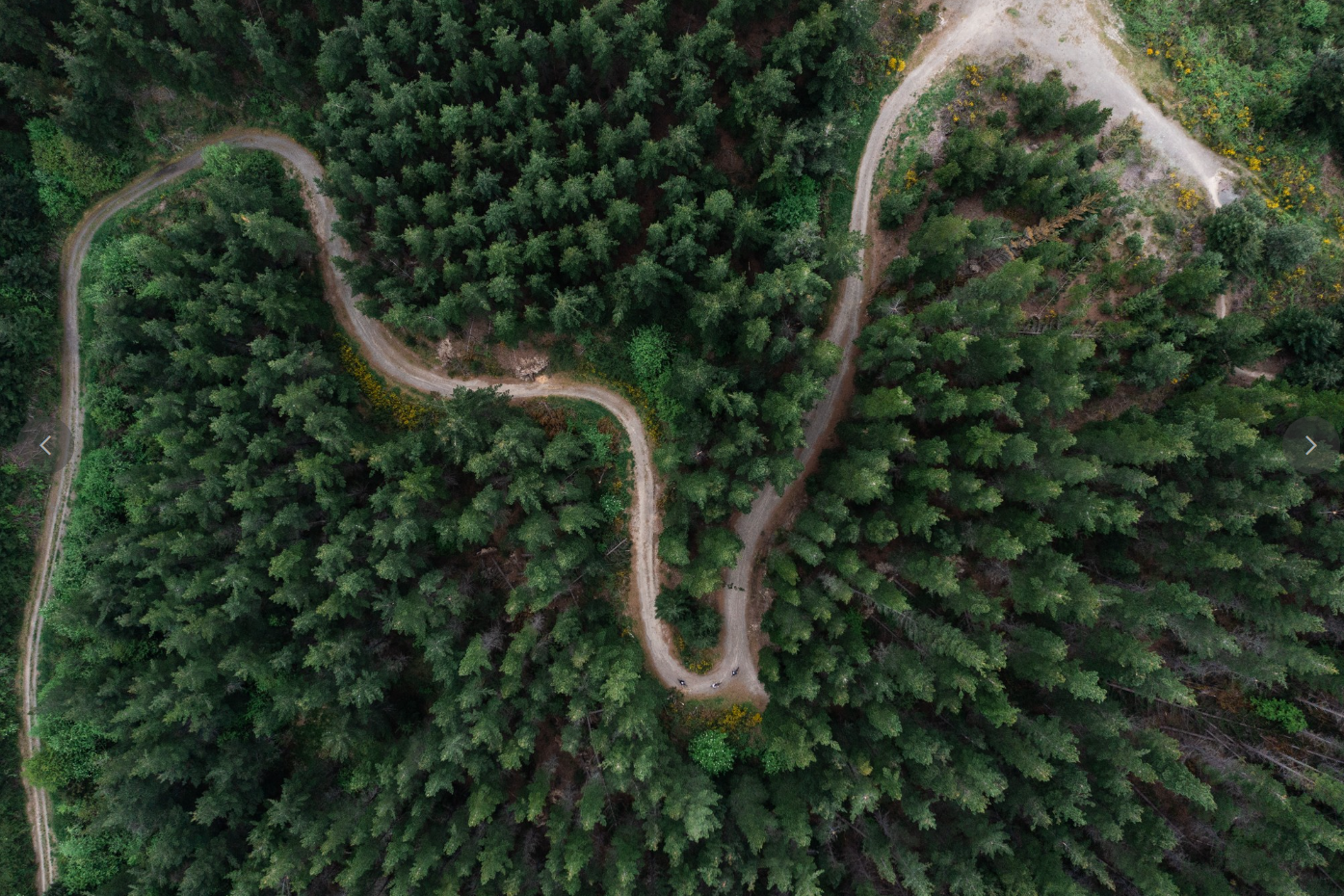 z mountain bike track.png