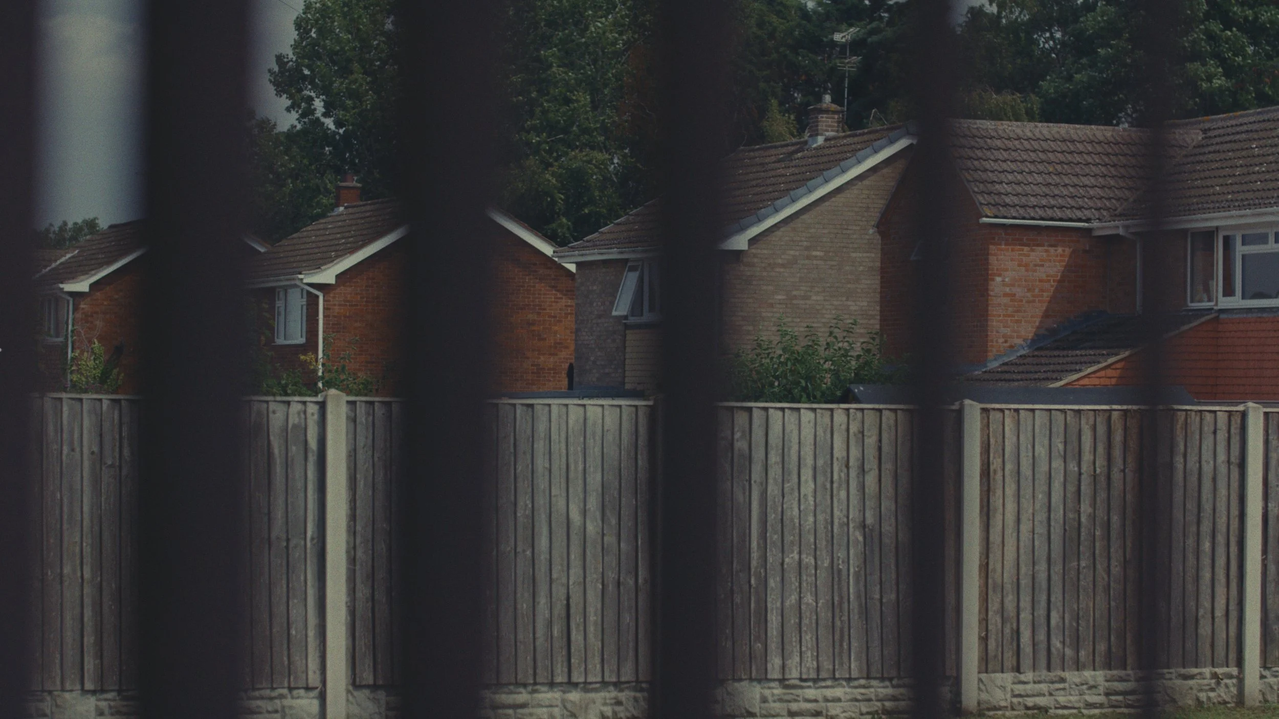 Still 2025-11-13 210019_1.24.1.jpg