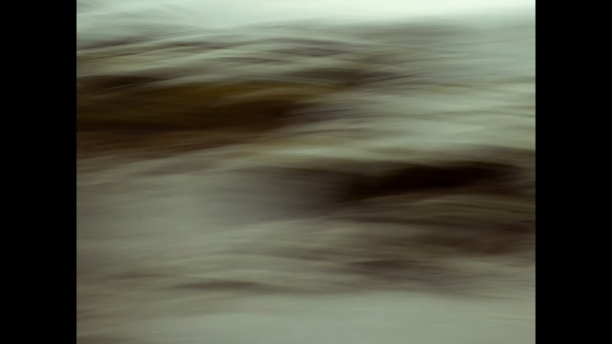 Blurred abstract image with shades of beige, brown, black, and green.