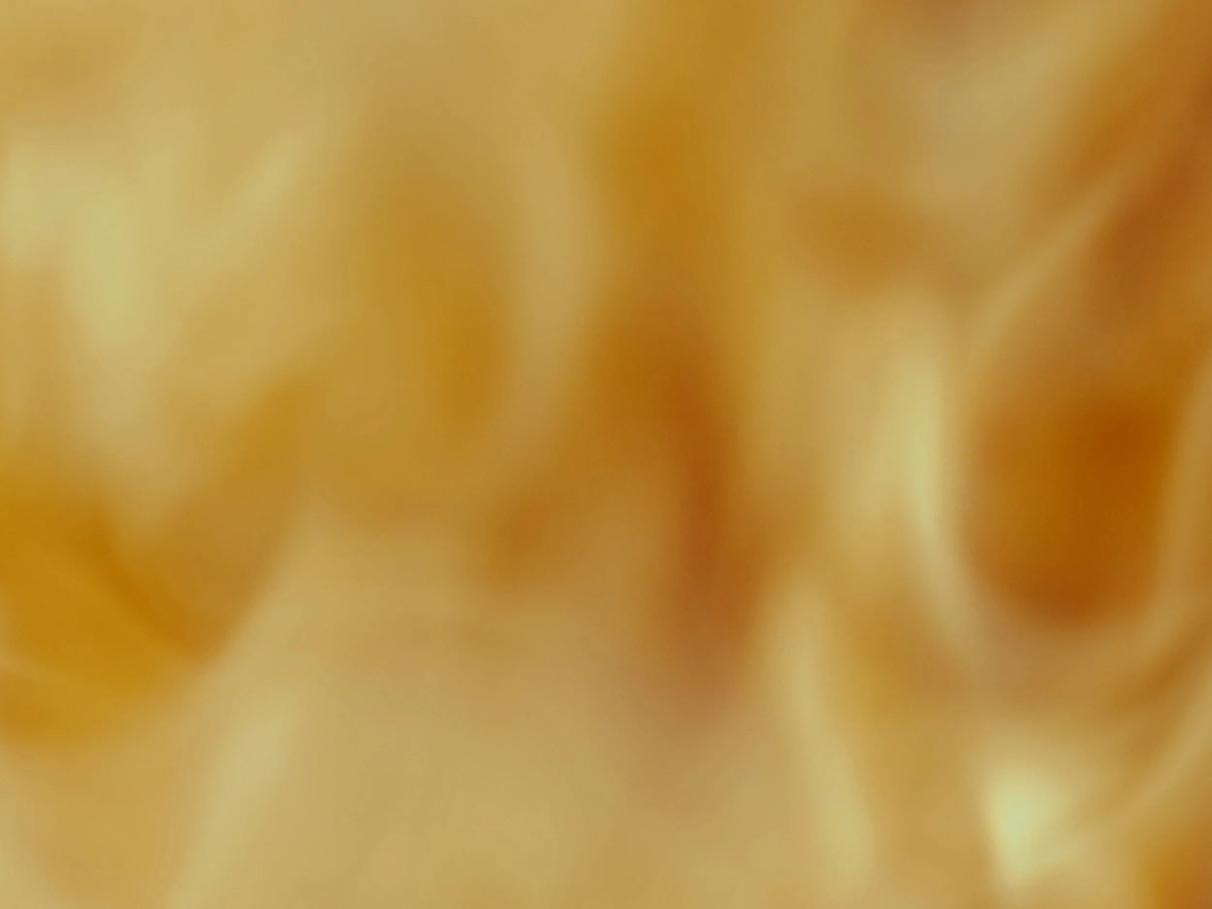 Still 2026-01-09 181453_1.1.5.jpg