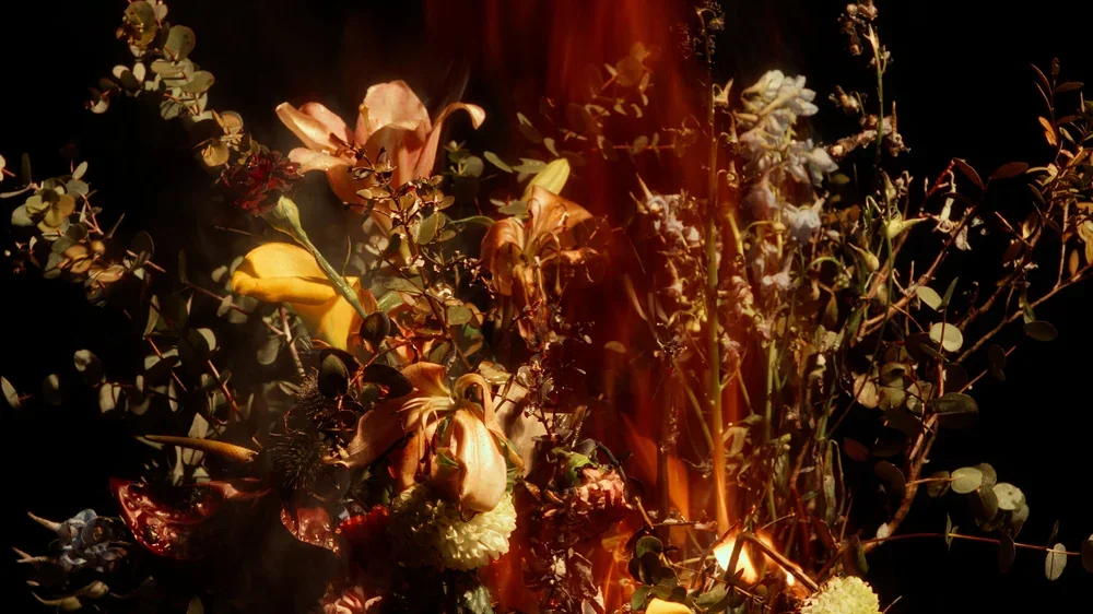 A display of various flowers and foliage, with some flowers burning or scorched, against a dark background.
