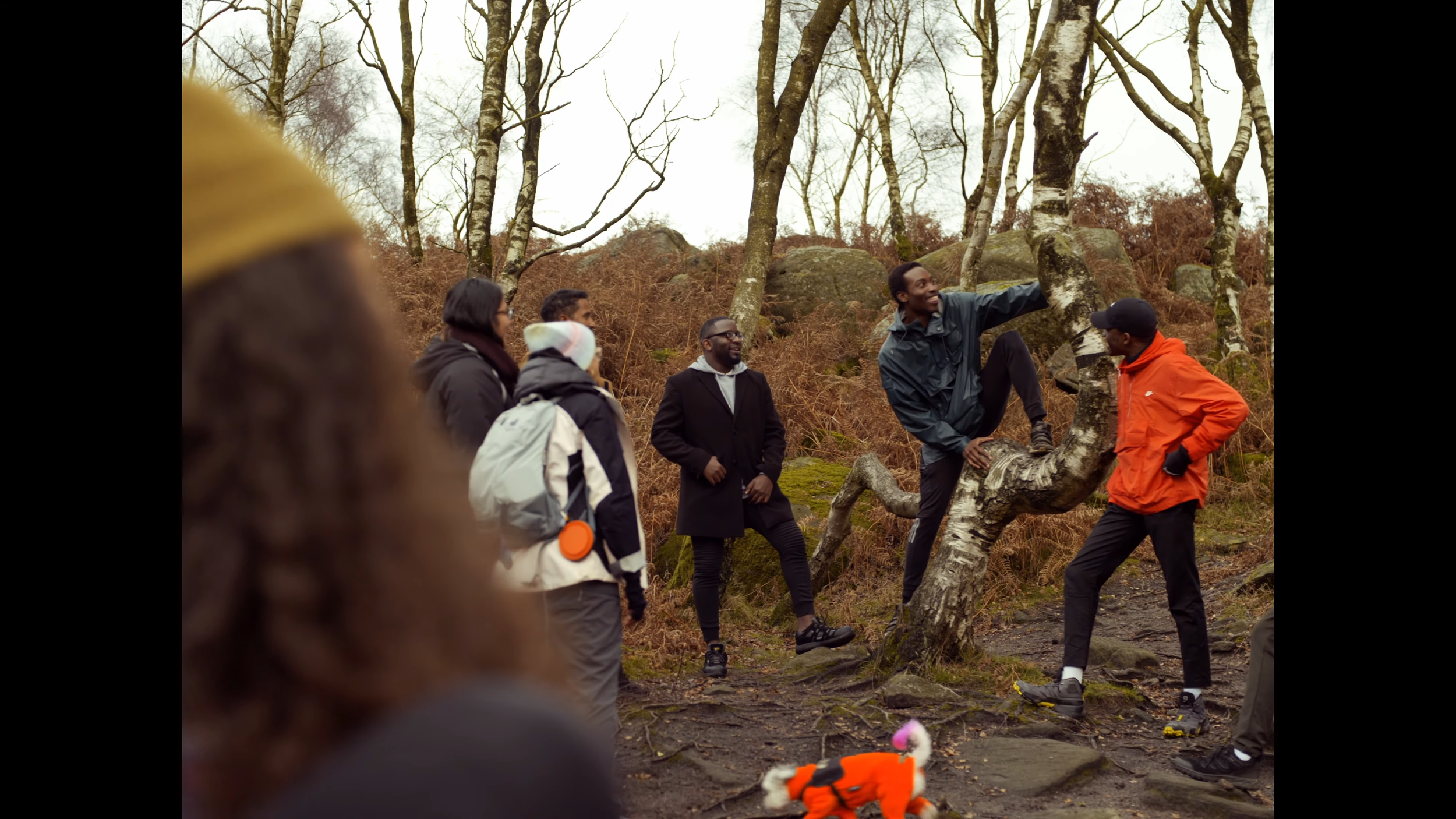 A group of people on a nature hike in a forest, with one person sitting on a tree branch, surrounded by leafless trees and rocks.