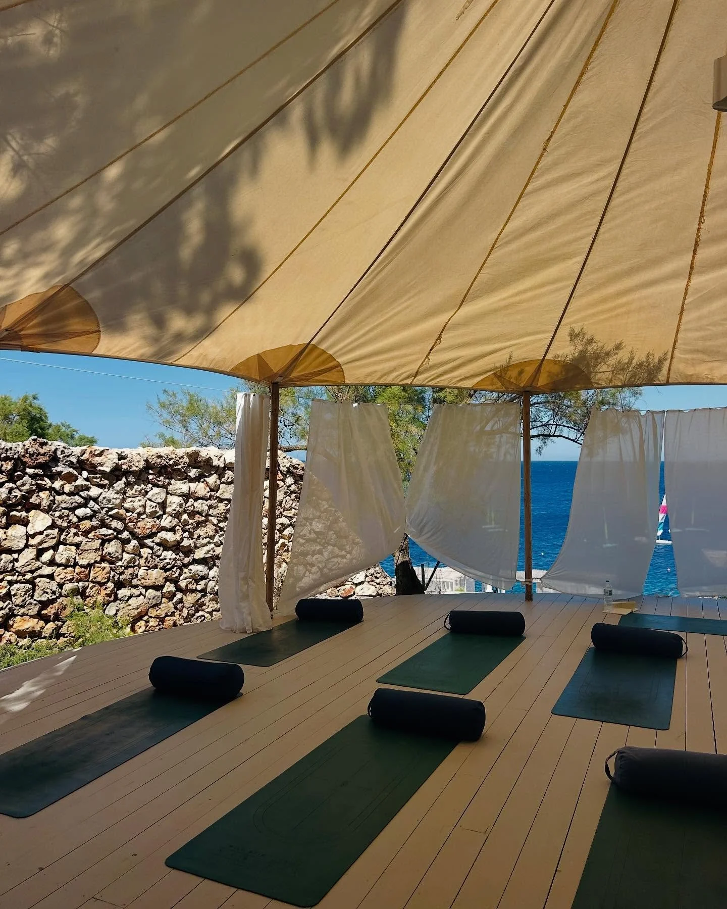 Blue on pink on white on blue 🌀🌺