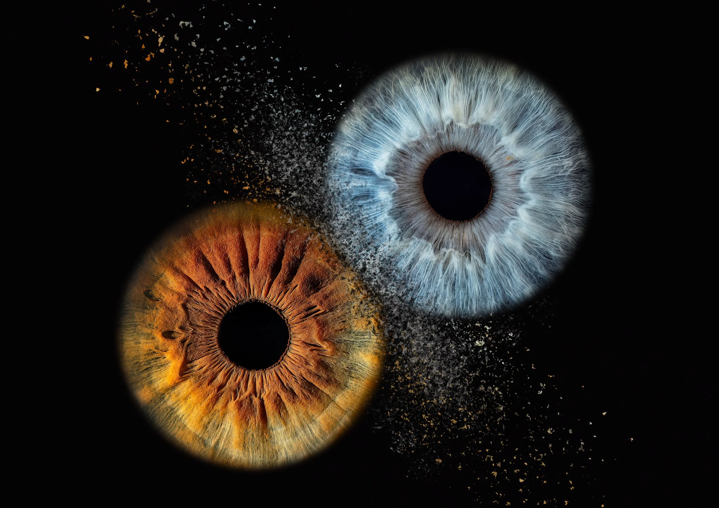 Close-up of two colored contact lenses on a black background, with a scattering of loose powder or pigment around them.