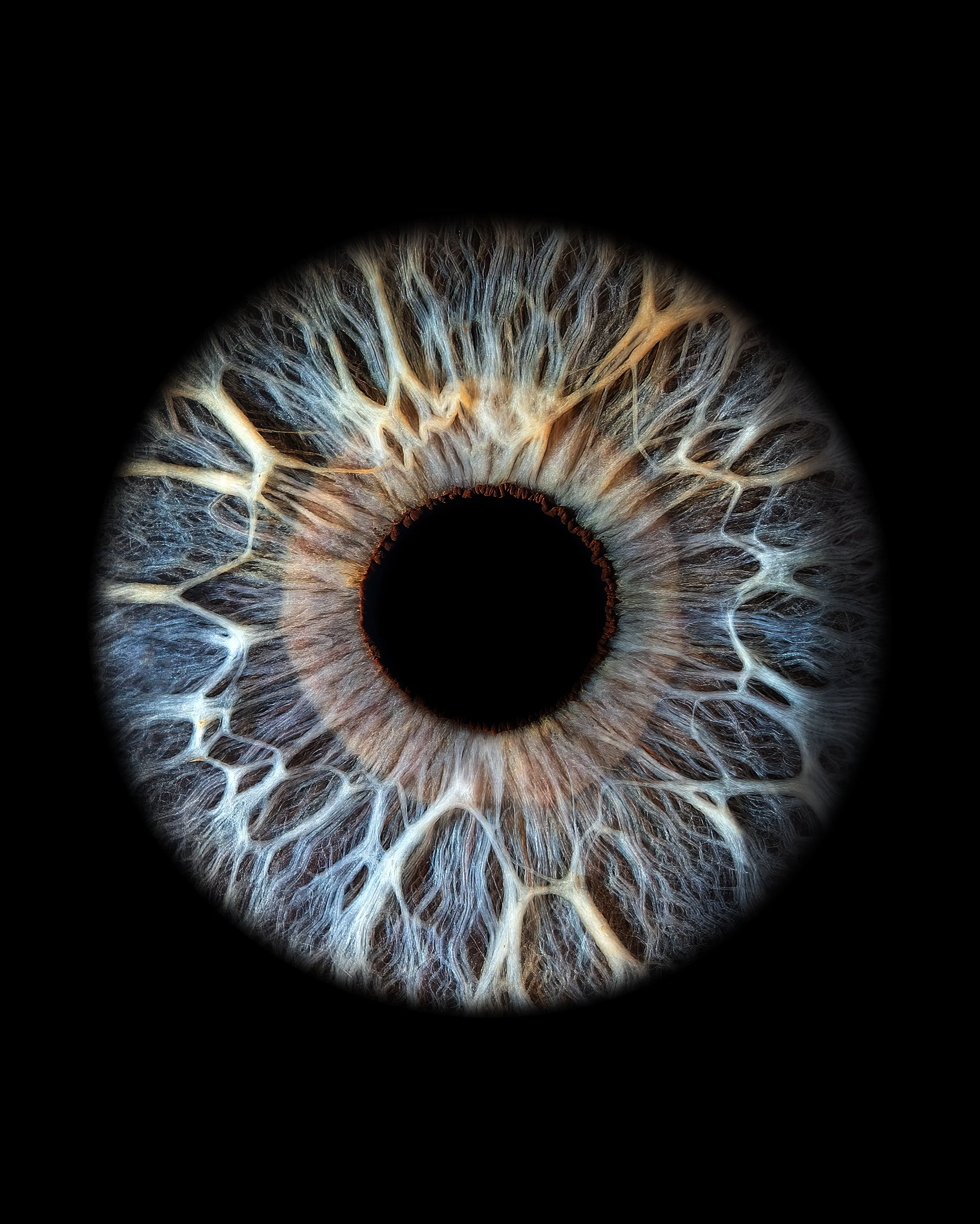 Close-up of a human eye with intricate details of the iris, showing blue, brown, and white patterns, against a black background.
