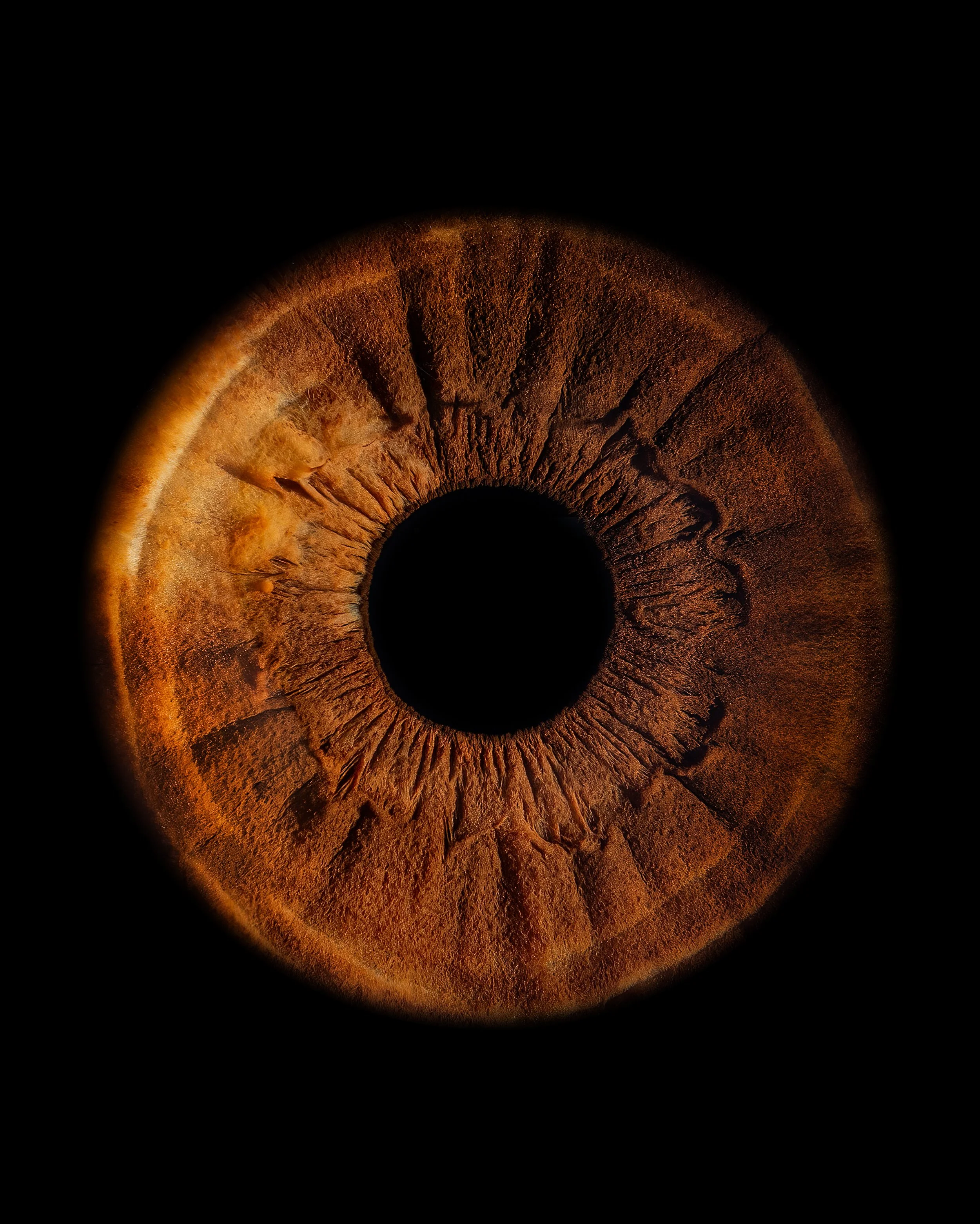 Close-up of a human eye iris with brown coloration, detailed textures, and a black pupil in the center, digital art style.