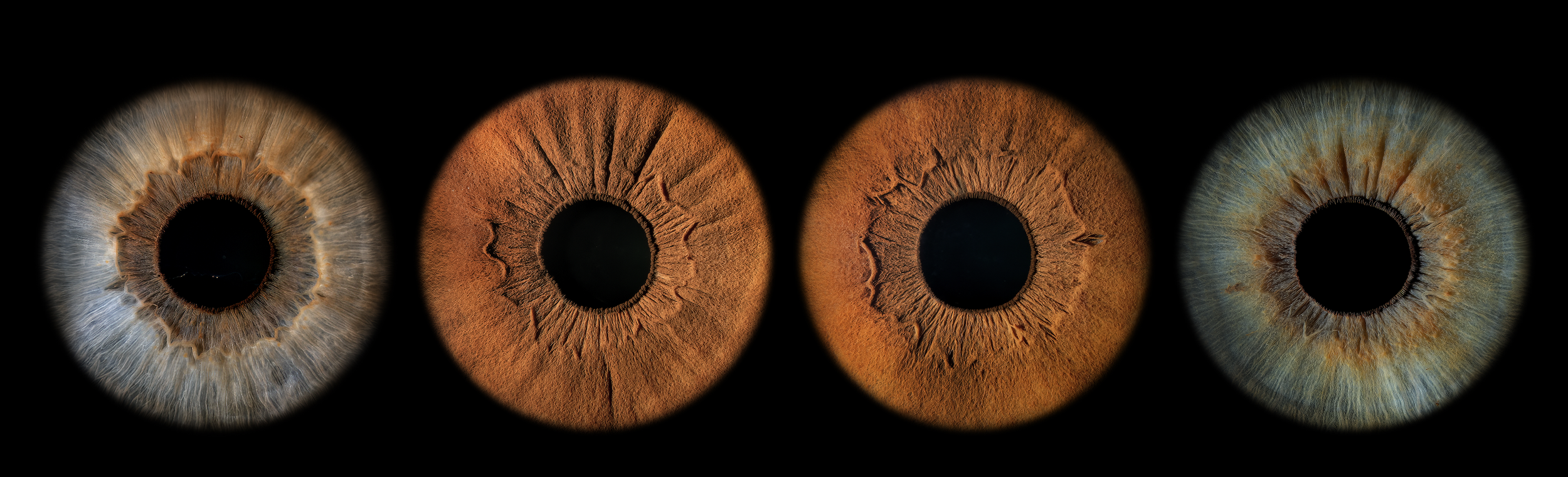Four close-up images of human irises, demonstrating different colors and textures, placed side by side.