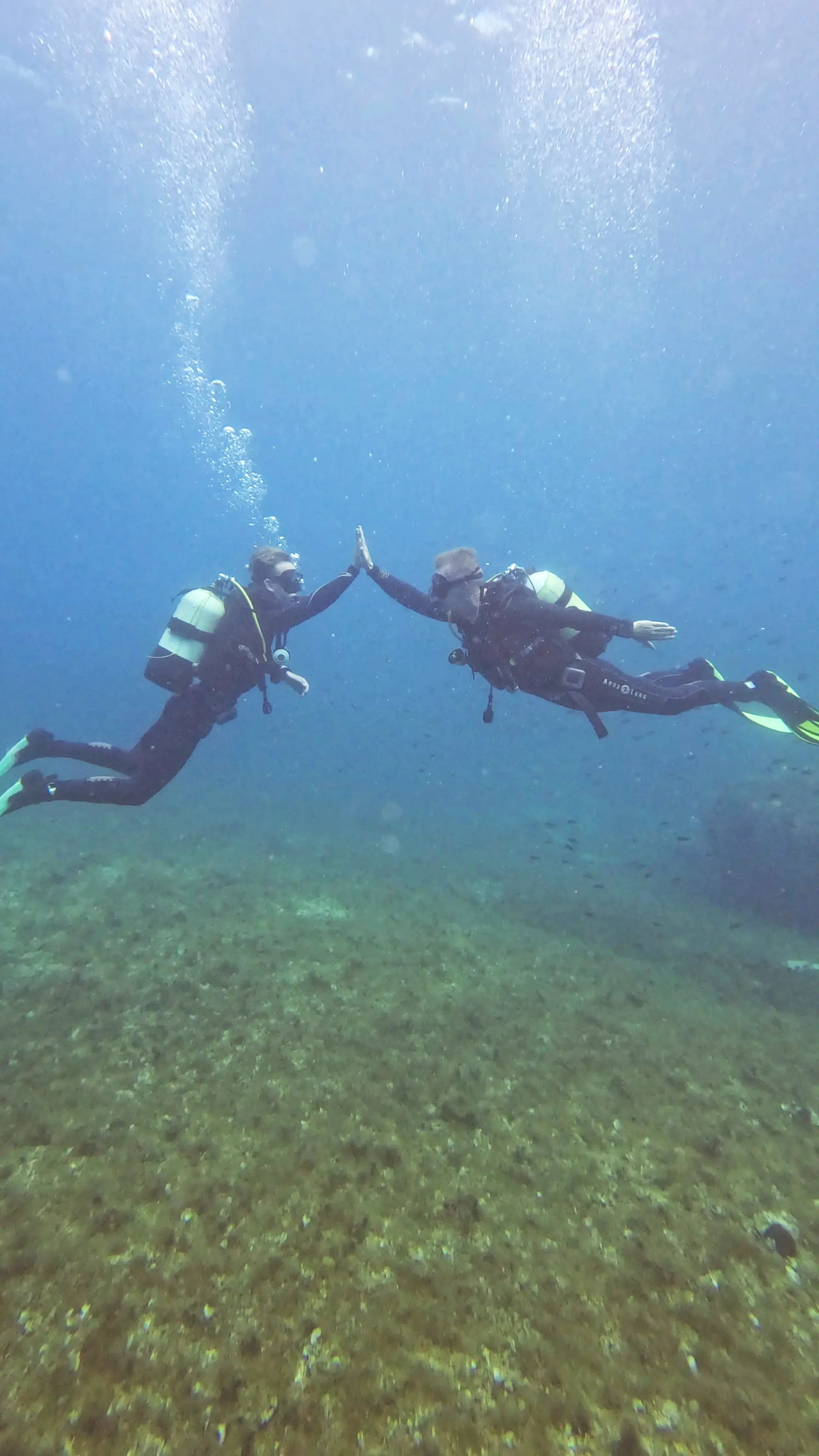 To dykkere under vandet, der giver hinanden high five, med grønne åndedrætsmasker og udstyr, over en græsset havbund.