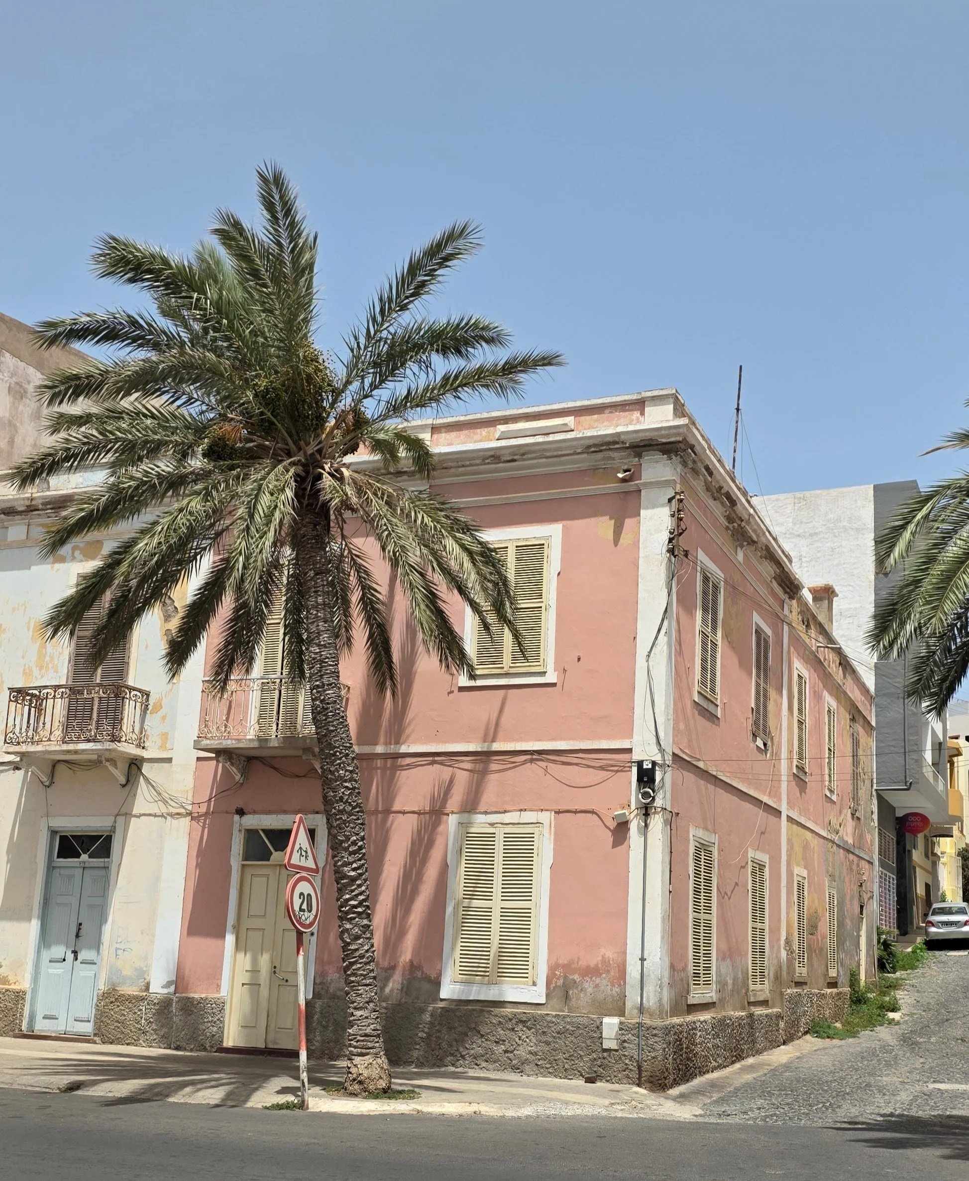 Stor palme foran hus malet i lyserød farve i Mindelo på São Vicente (Kap Verde)