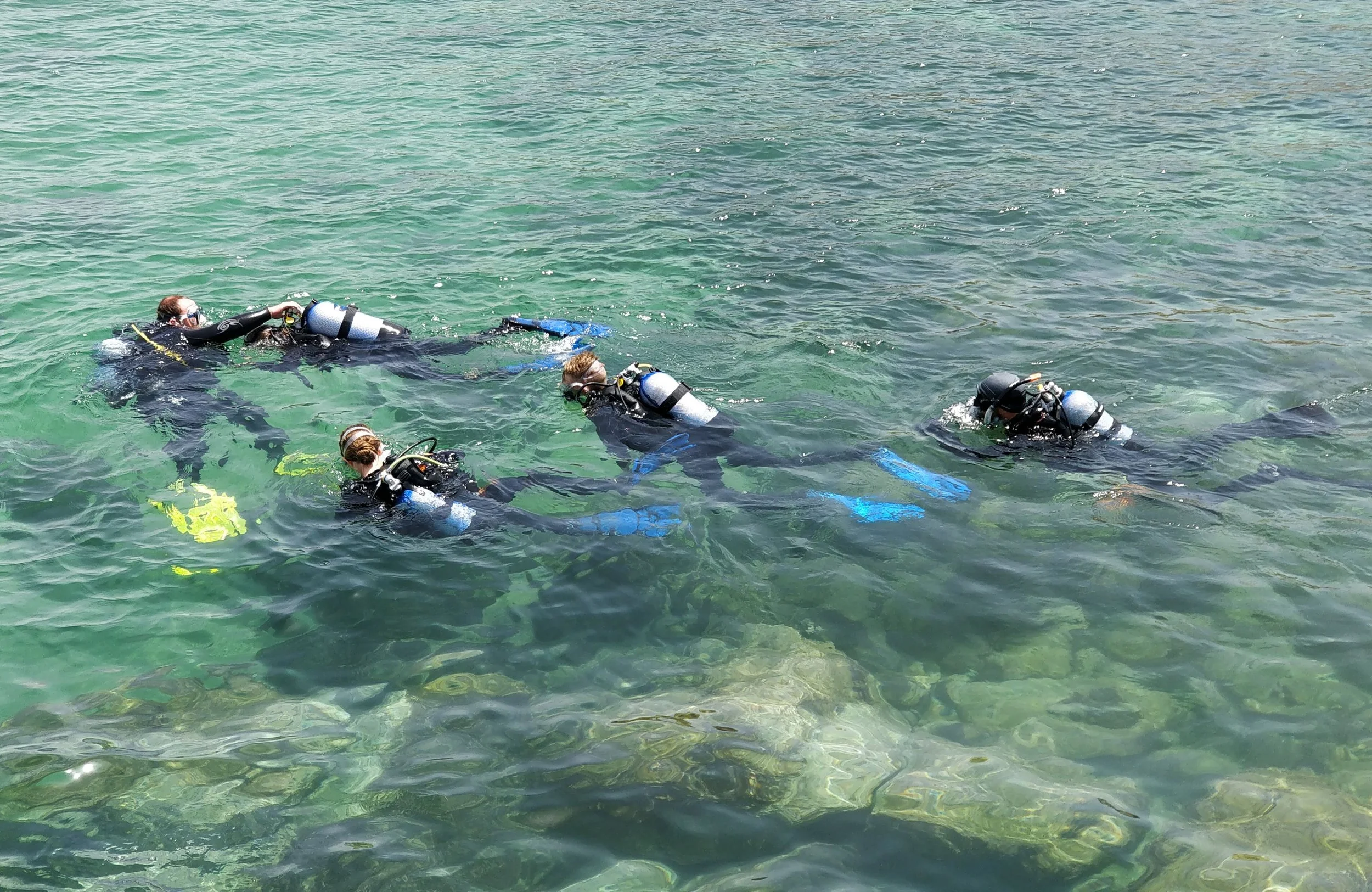 Fire personer i dykkerudstyr, svømmer og træner i vandet - herlig ferie med boblerejser..