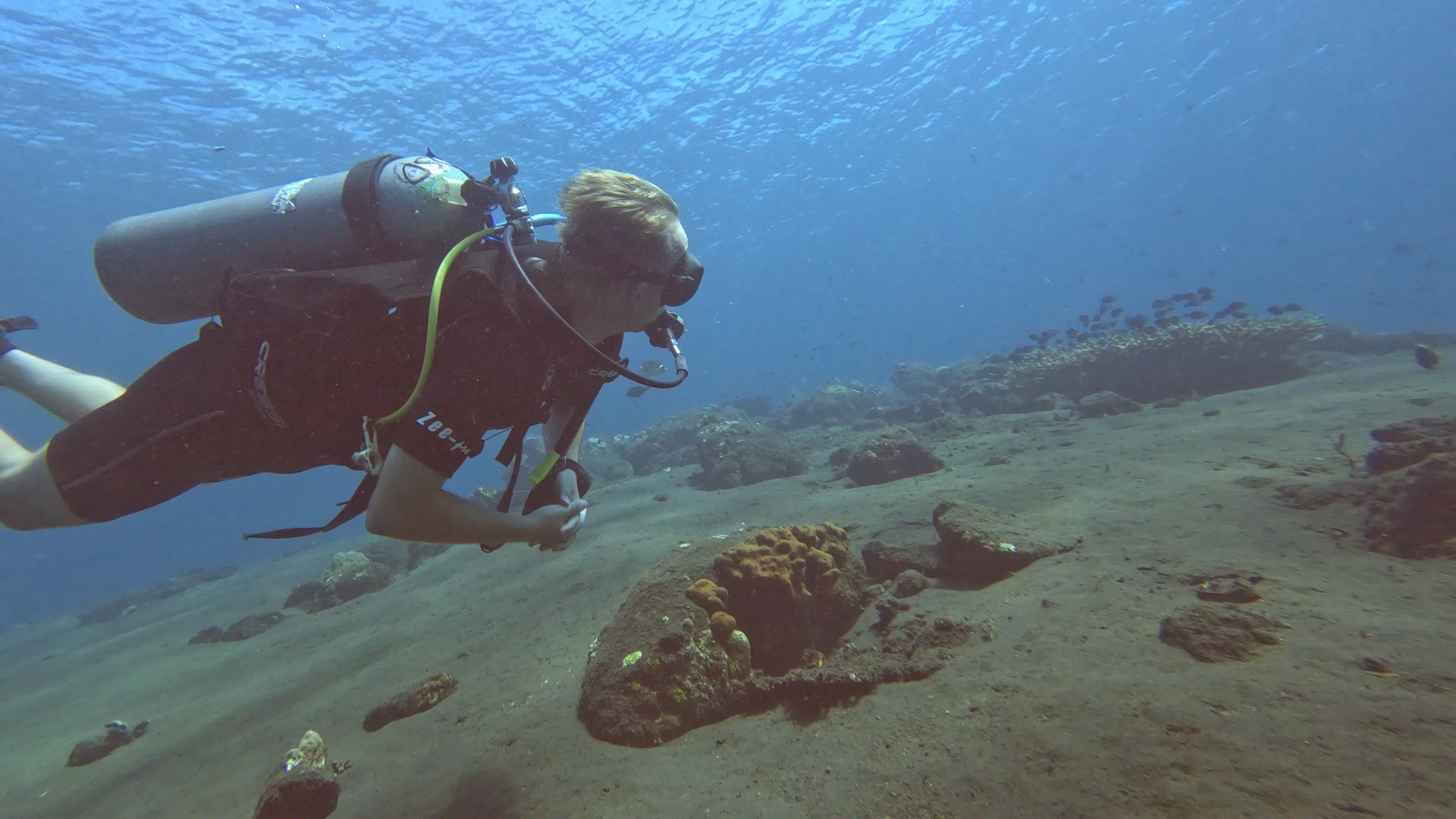 Dykker udforsker det rolige undervandslandskab på Bali – klart vand, koraller og fredfyldt eventyr med Boblerejser.
