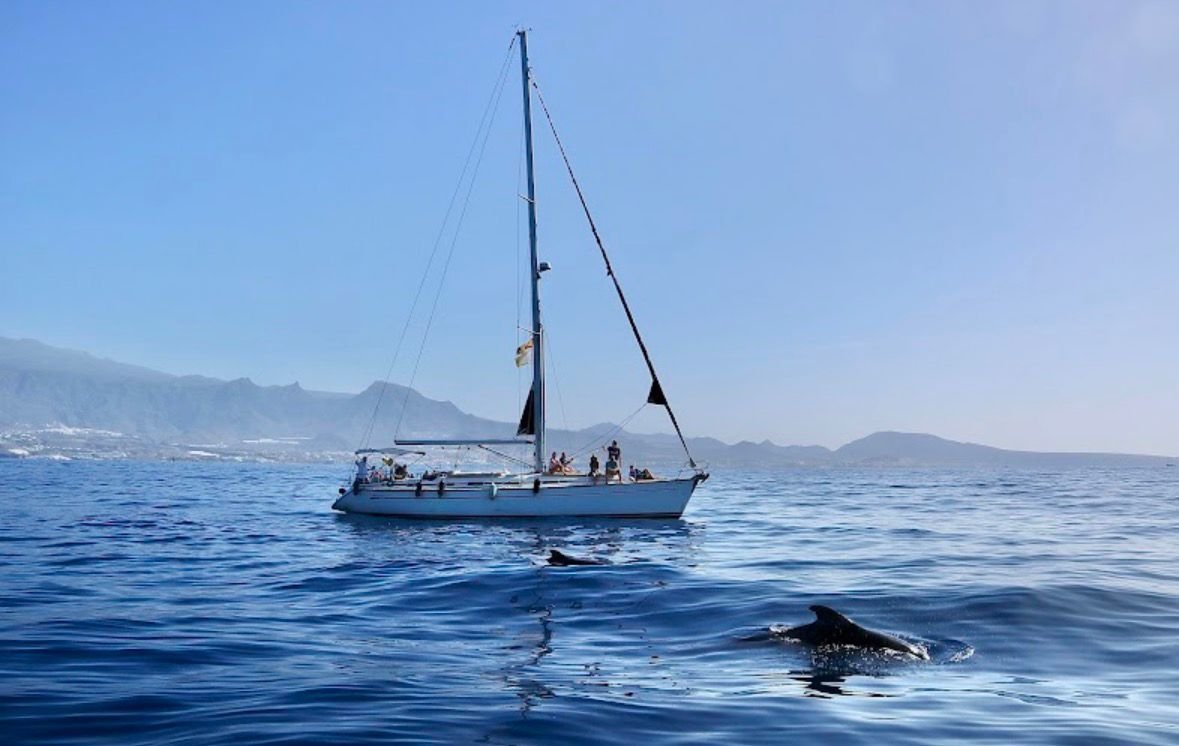 Charter Privado Velero
