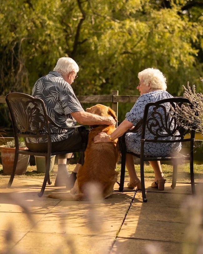An elderly man and woman sitting in outdoor chairs, with a dog between them, in a sunny garden setting with green trees in the background.