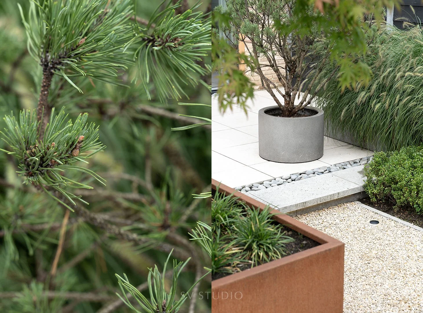 Perfecte afwerking en details van strakke tuin