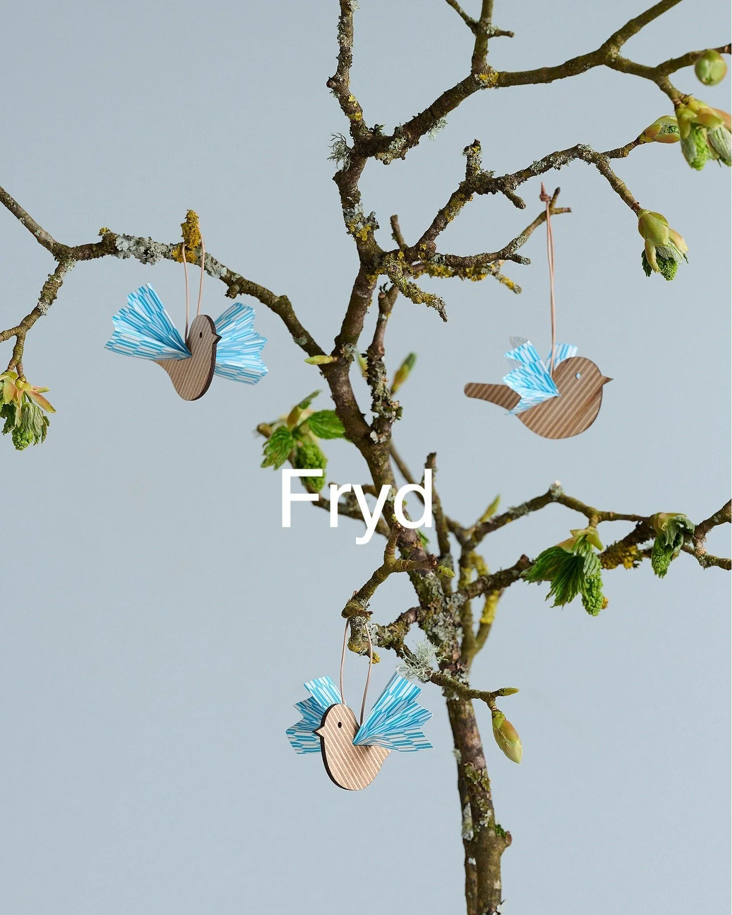 M&oslash;d Fryd p&aring; DESIGNKRAFT l&oslash;rdag 4/10

FRYD er en dansk designvirksomhed med base lidt uden for Middelfart, hvor tr&aelig; og akryl forvandles til dekorative objekter til hjemmet. Bag brandet st&aring;r et passioneret team, der arbe