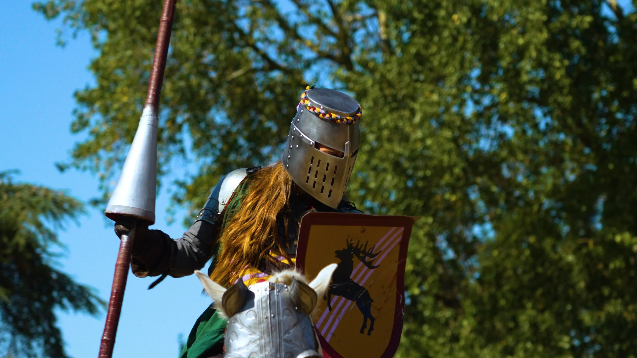 Knight Pic.jpg