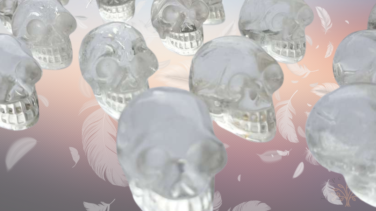 ✨Mini Workshop - Working with Crystal Skulls for Beginner’s - 10th May 2026