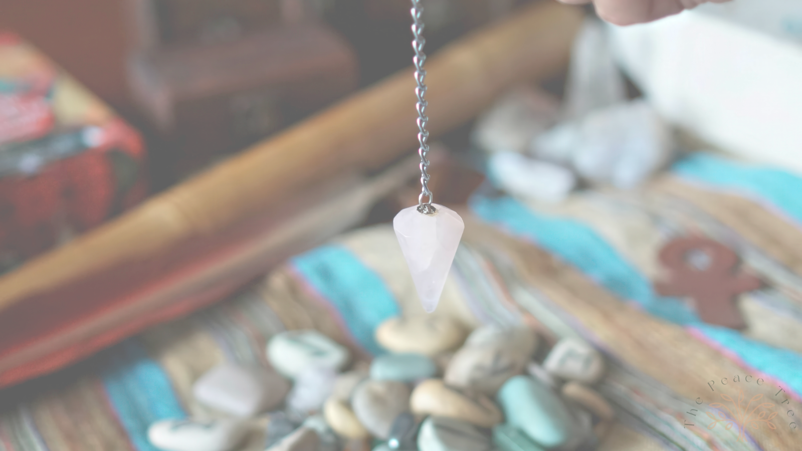 Untitled design - 2026-02-12T113243.537.png