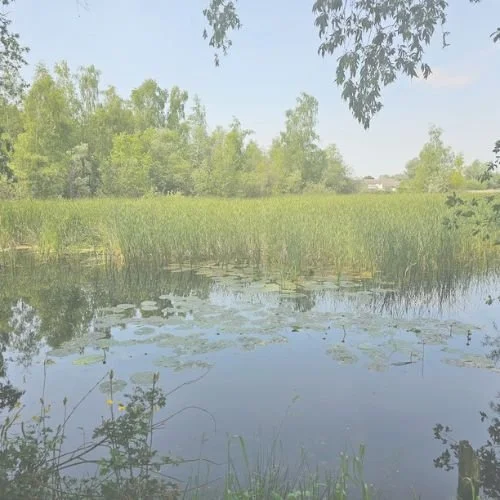 Embracing the Flow Retreat Days (1).jpg