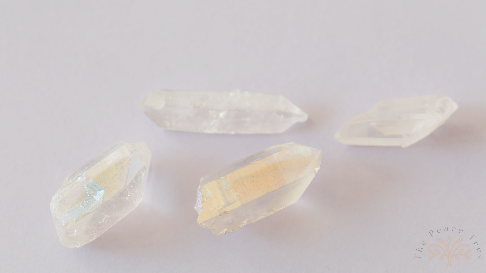 Untitled design - 2026-02-12T103402.214.png